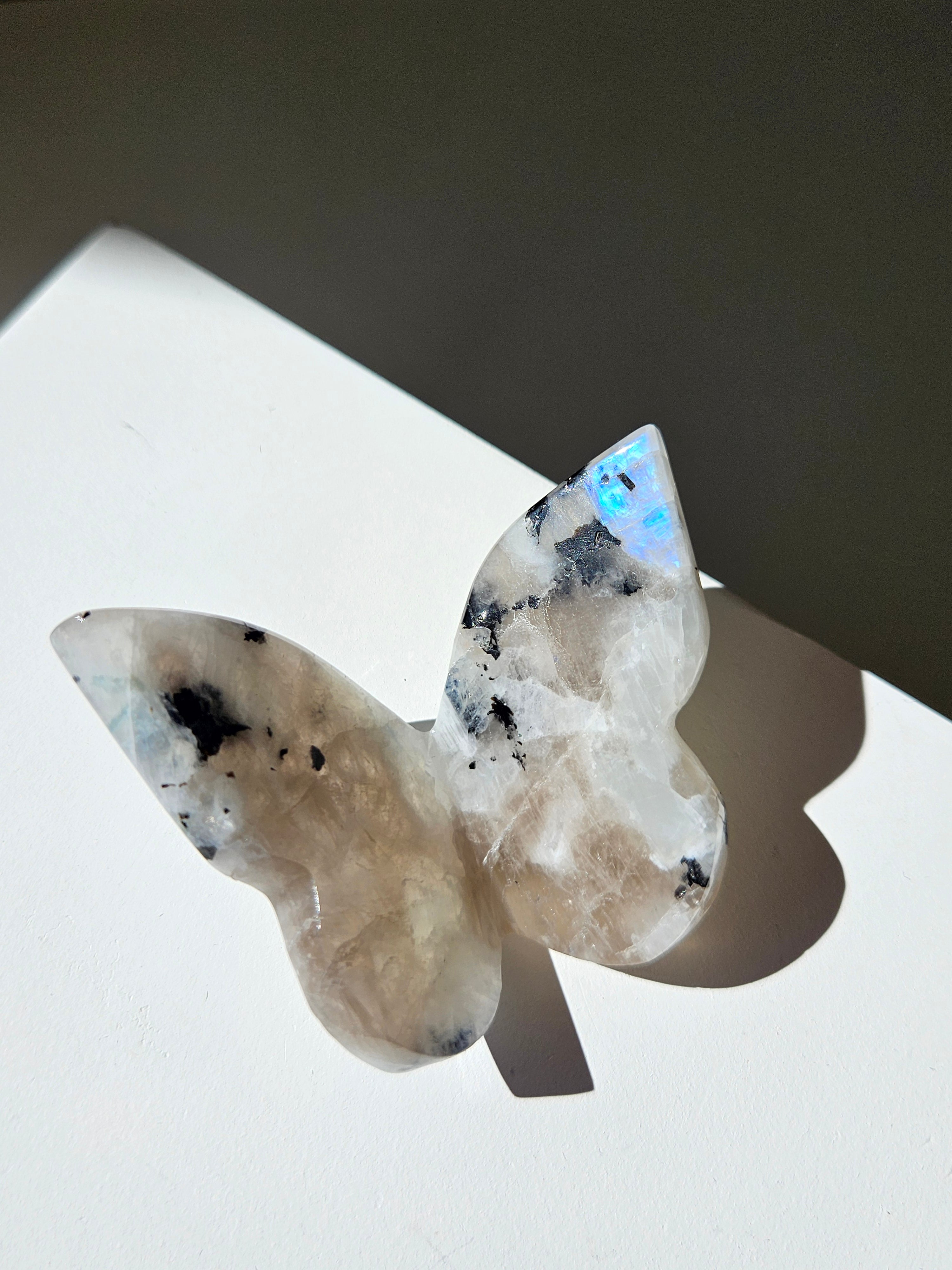 Moonstone Butterfly 005