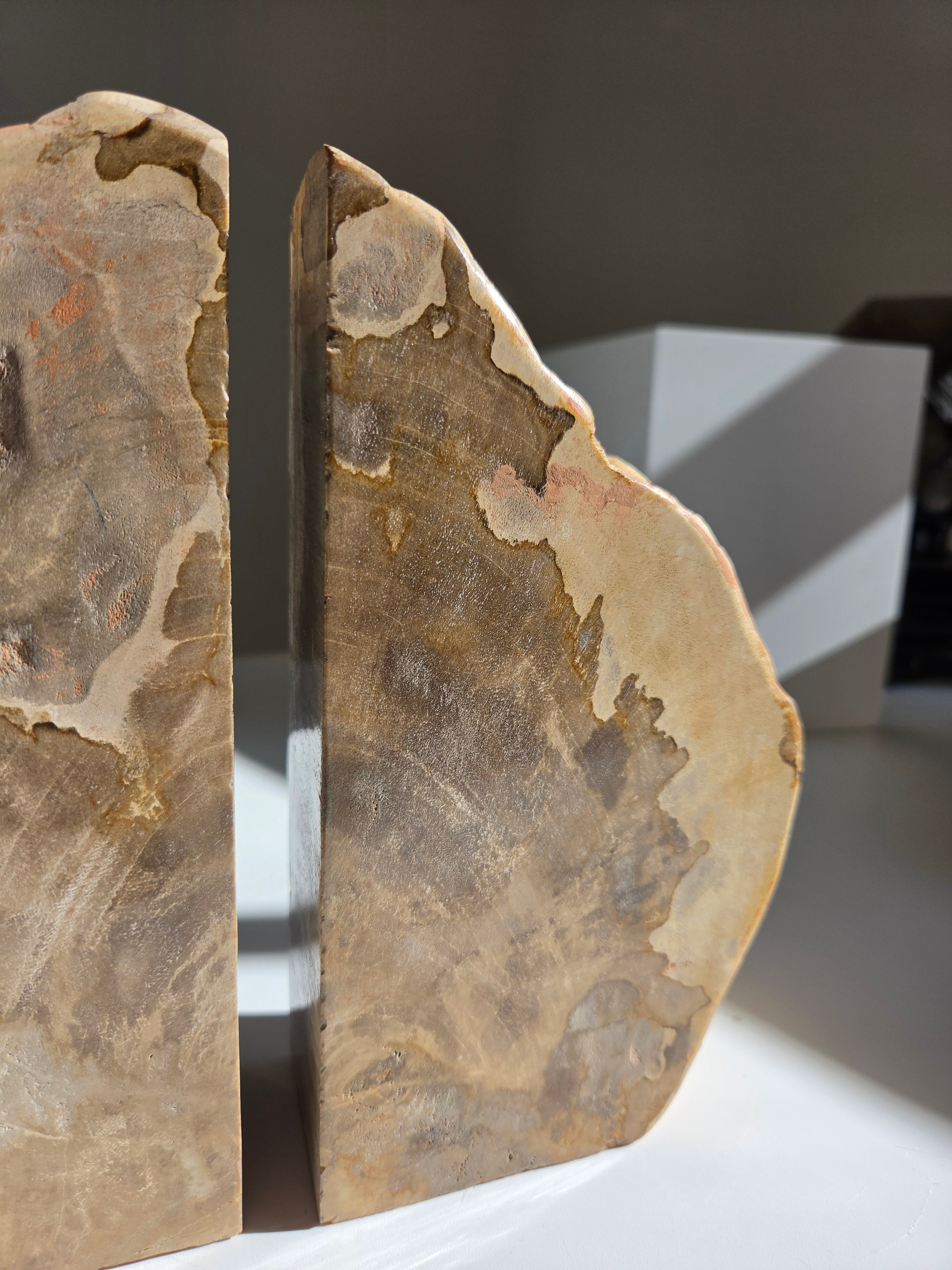 Petrified Wood Bookends 002