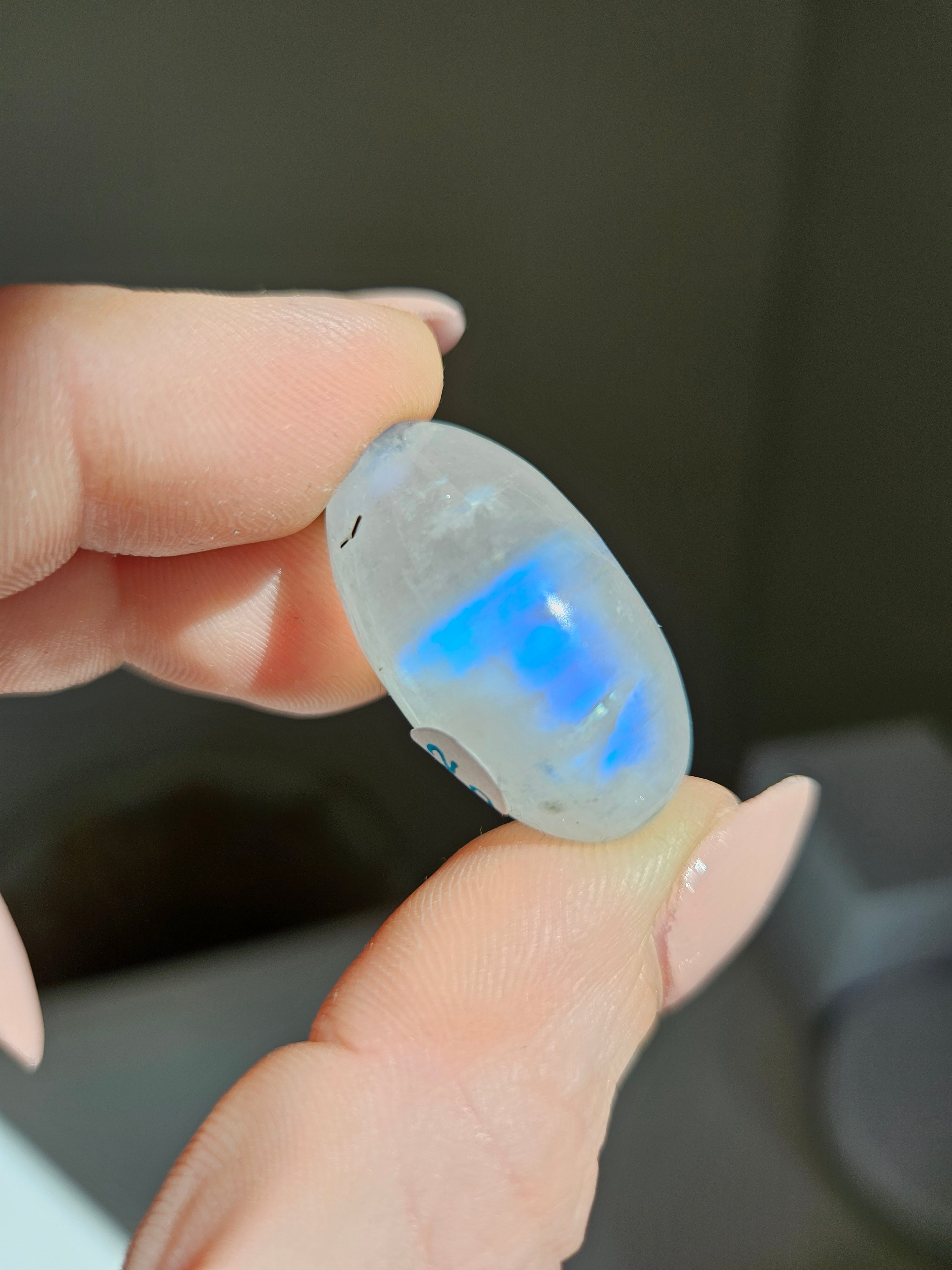 Moonstone Shiva 004