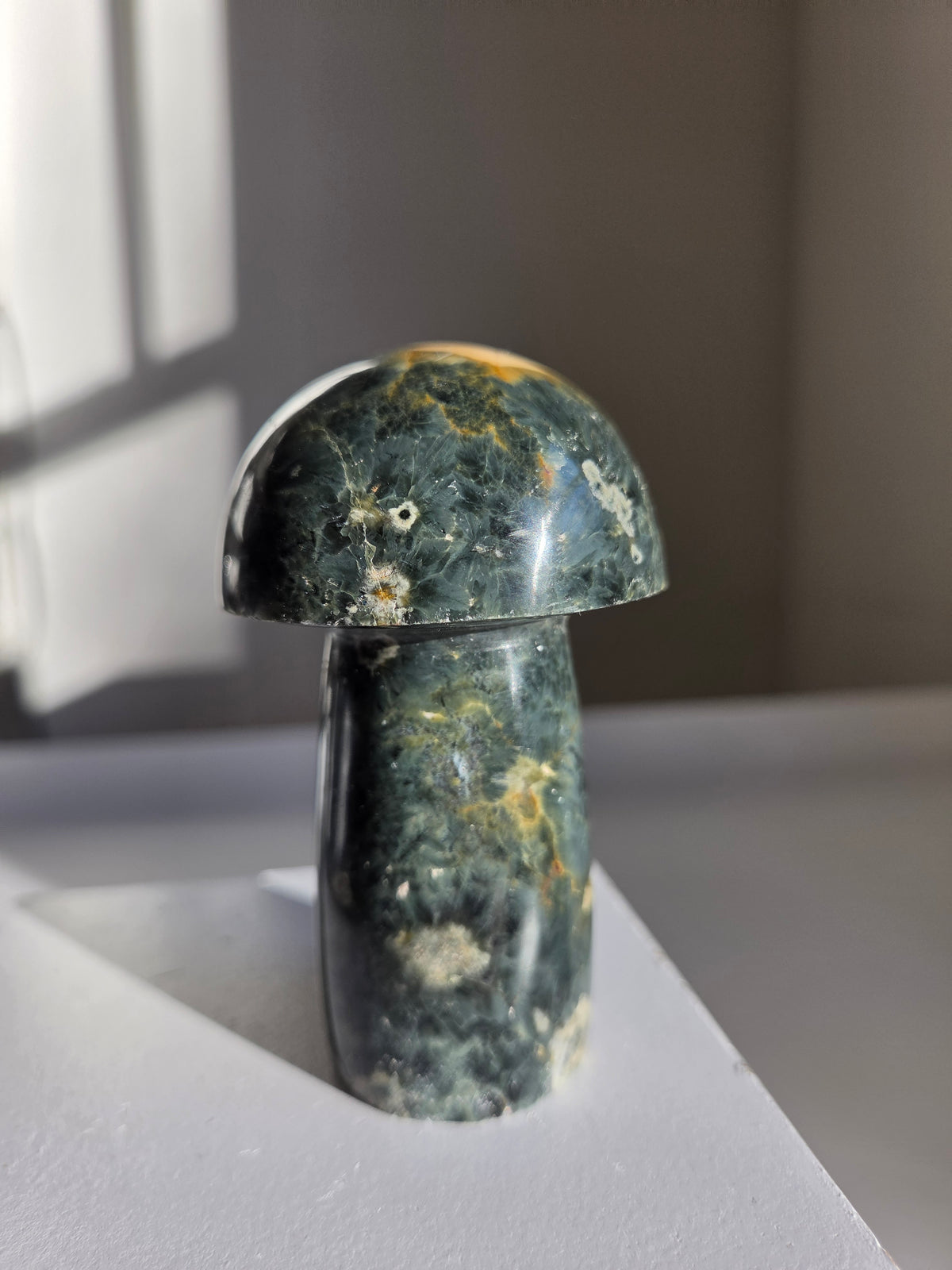 Sea Jasper Mushroom 004