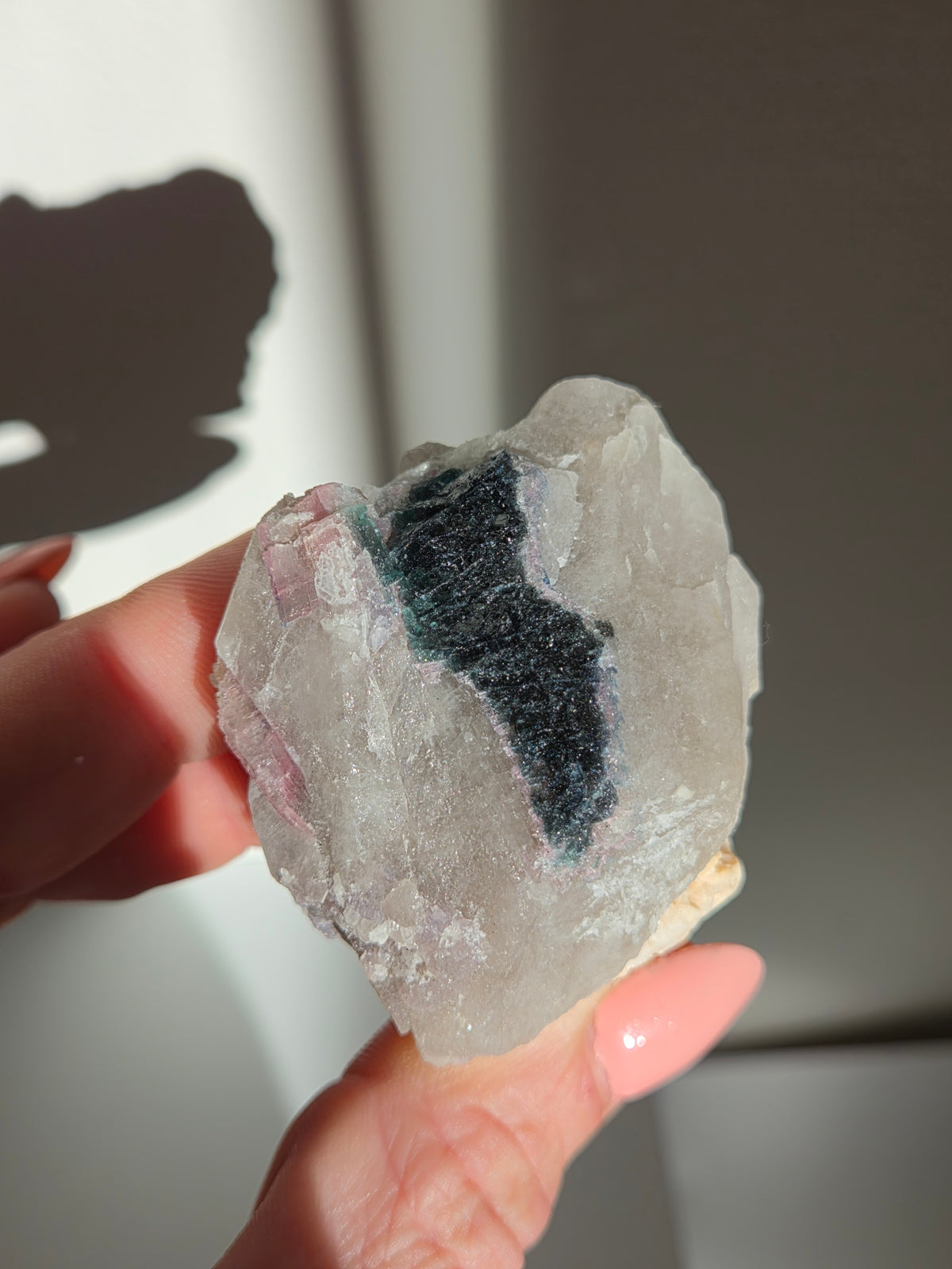 Tourmaline x Quartz Specimen 006