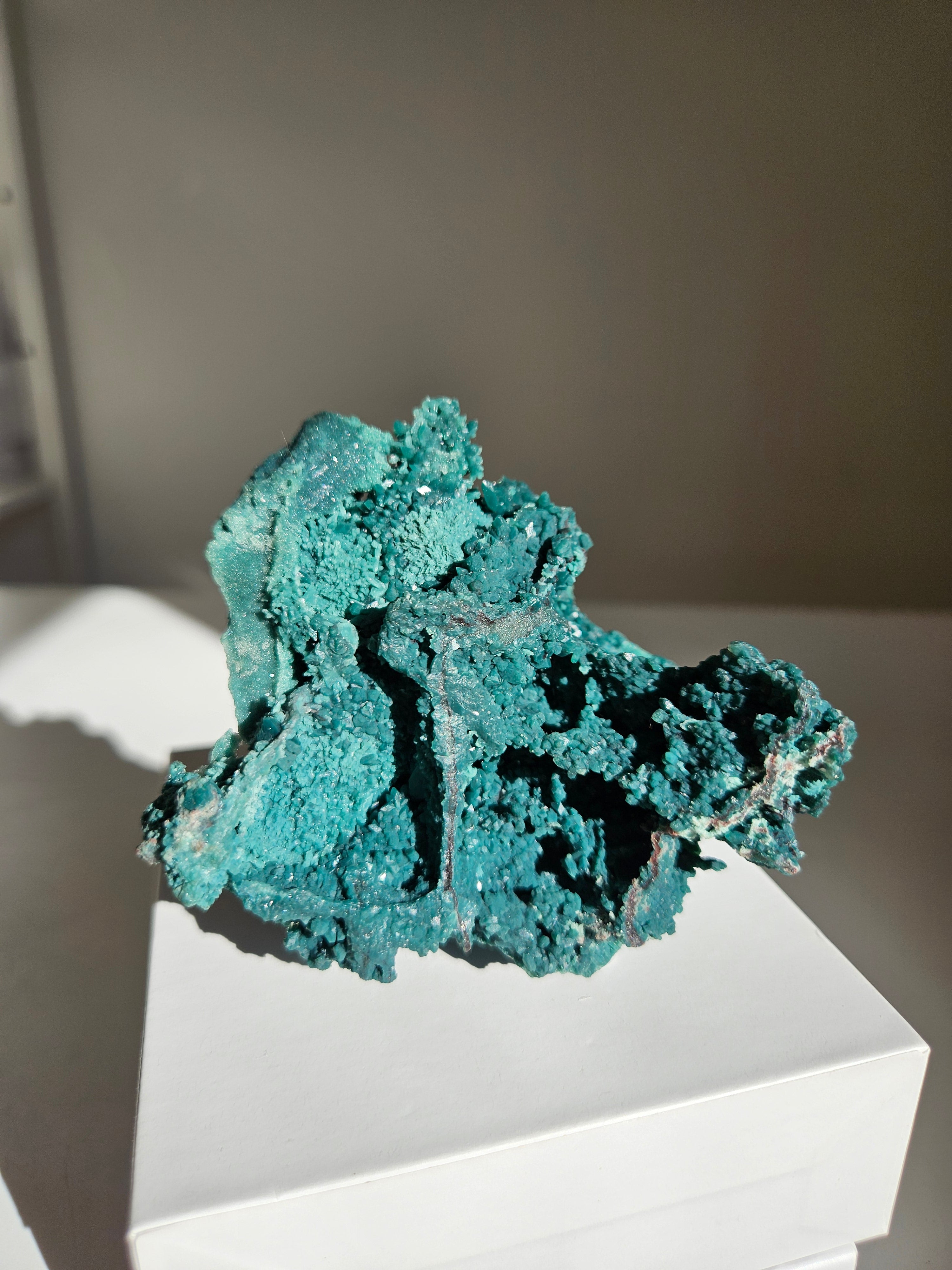 Marshy Green Apophyllite 013