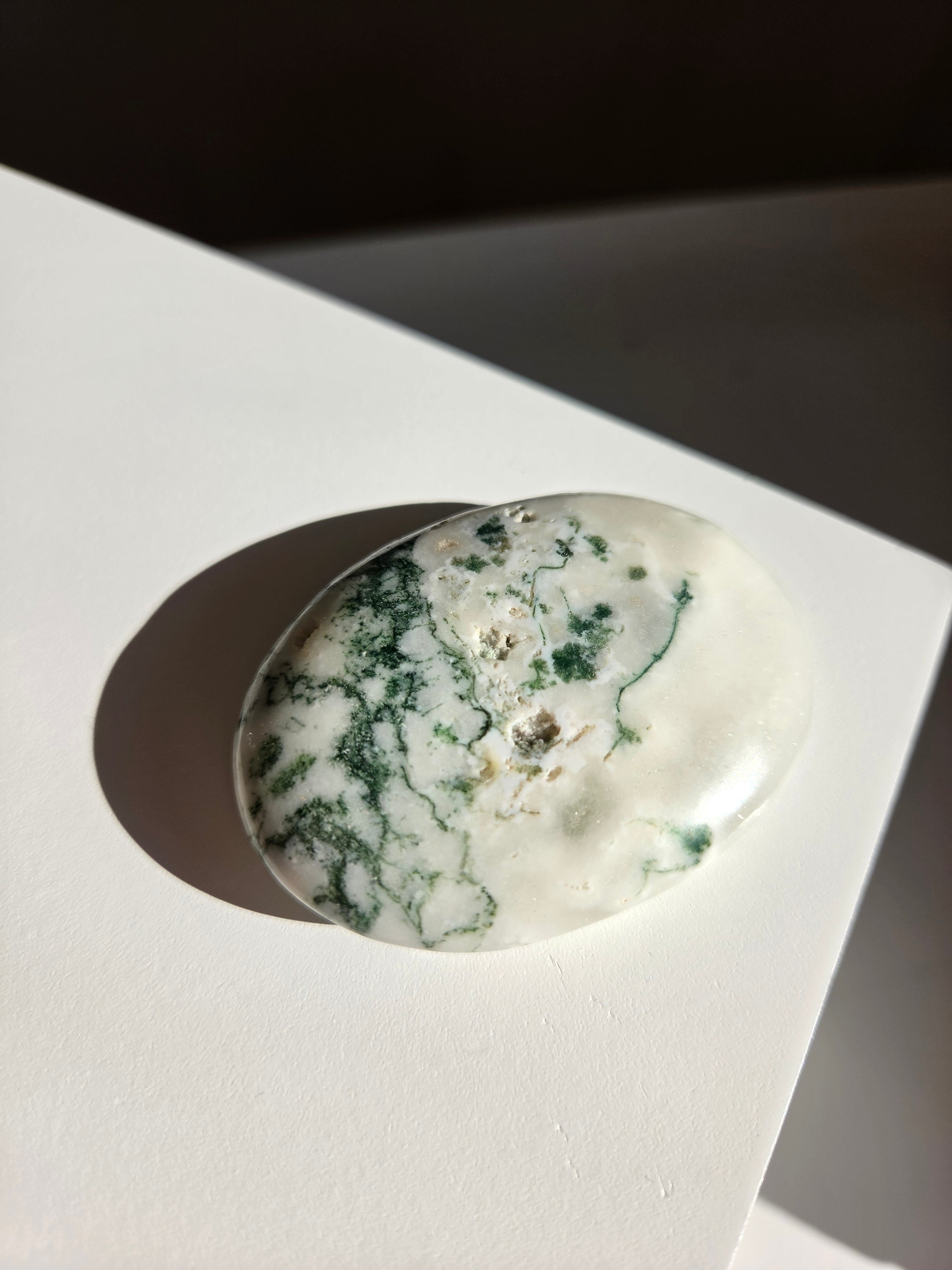 Tree Agate Palmstone 005