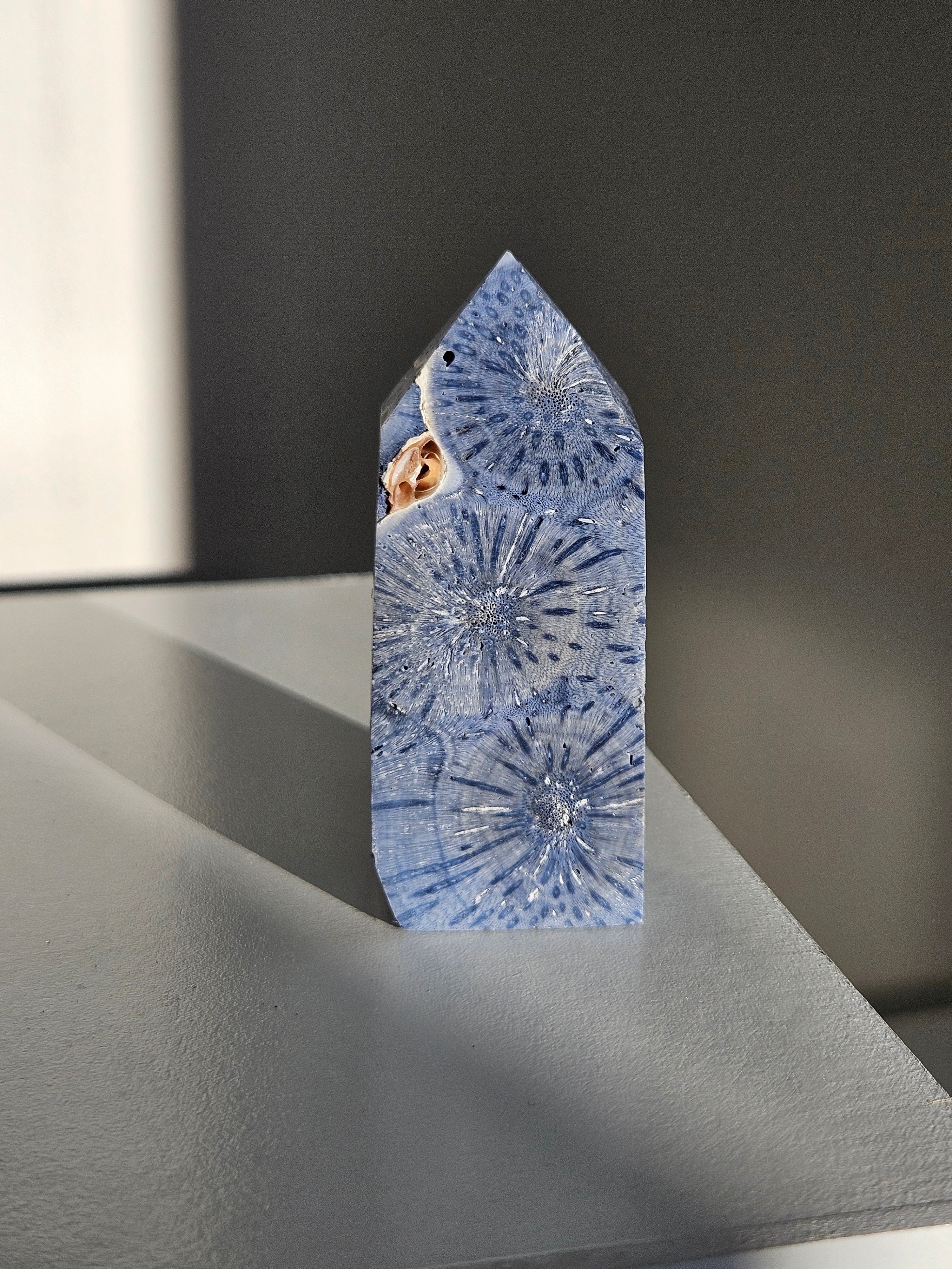 Blue Coral Tower 005