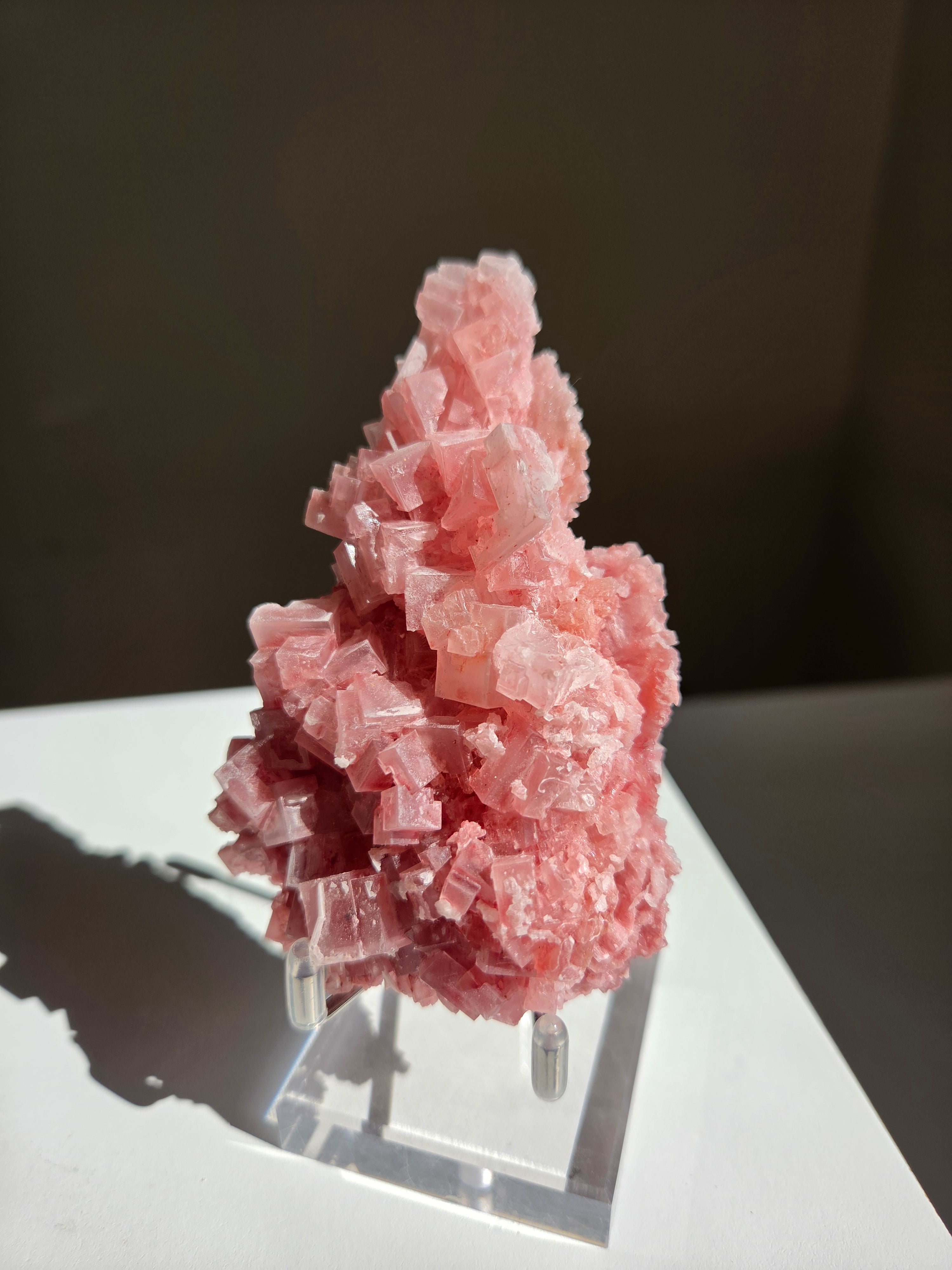 Pink Halite 006