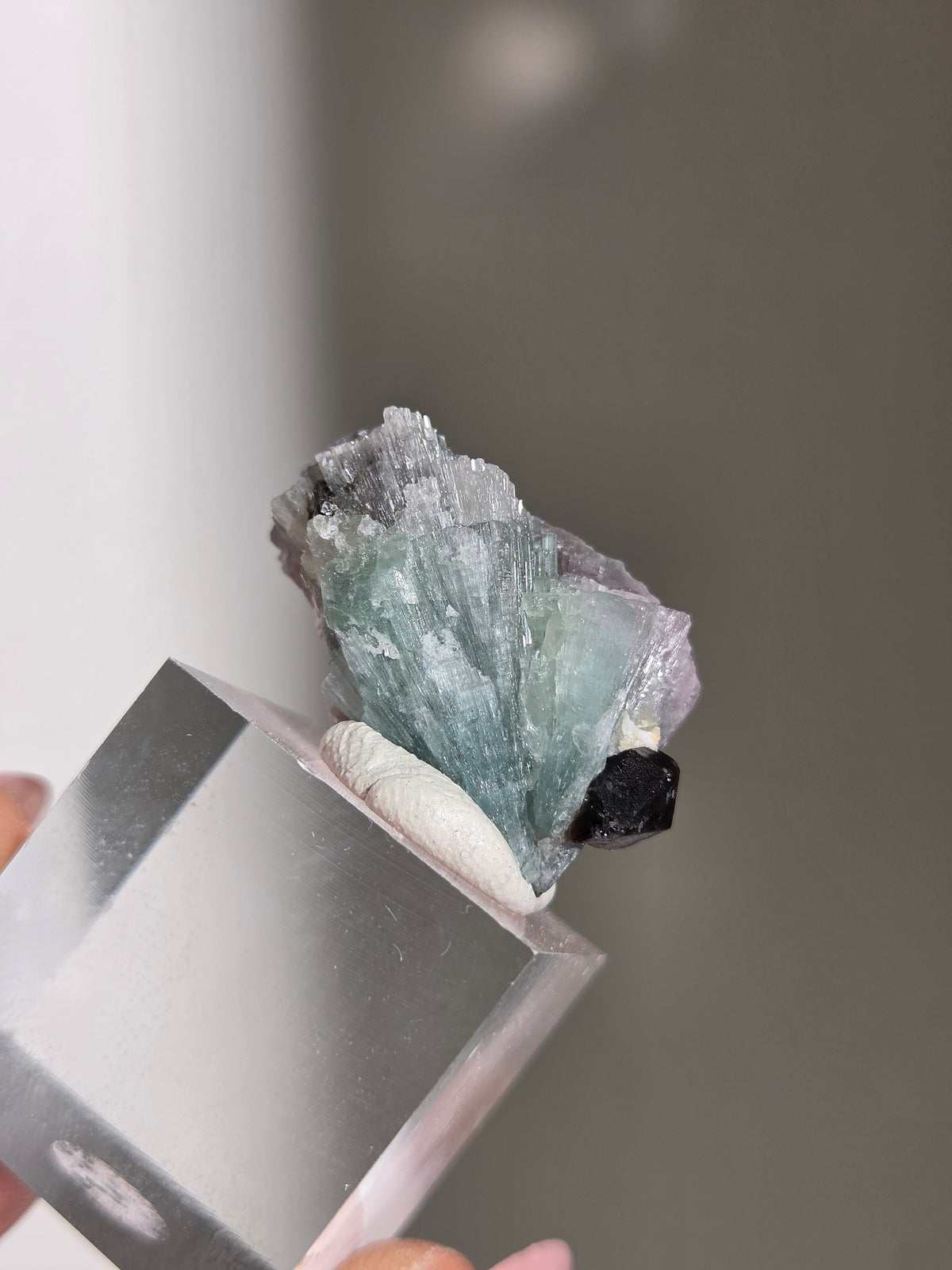 Cotton Candy Tourmaline 012