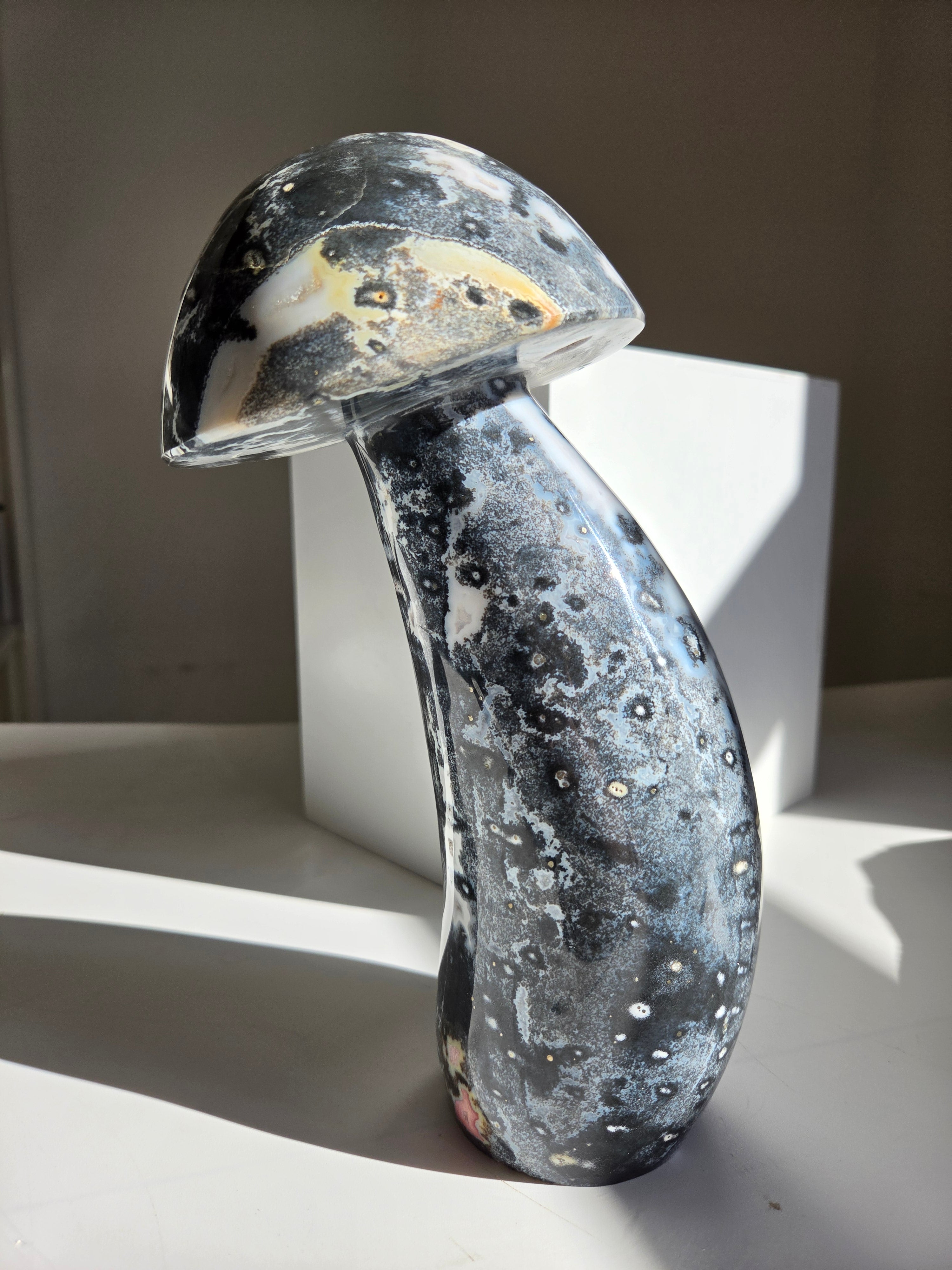 Sea Jasper Mushroom 013