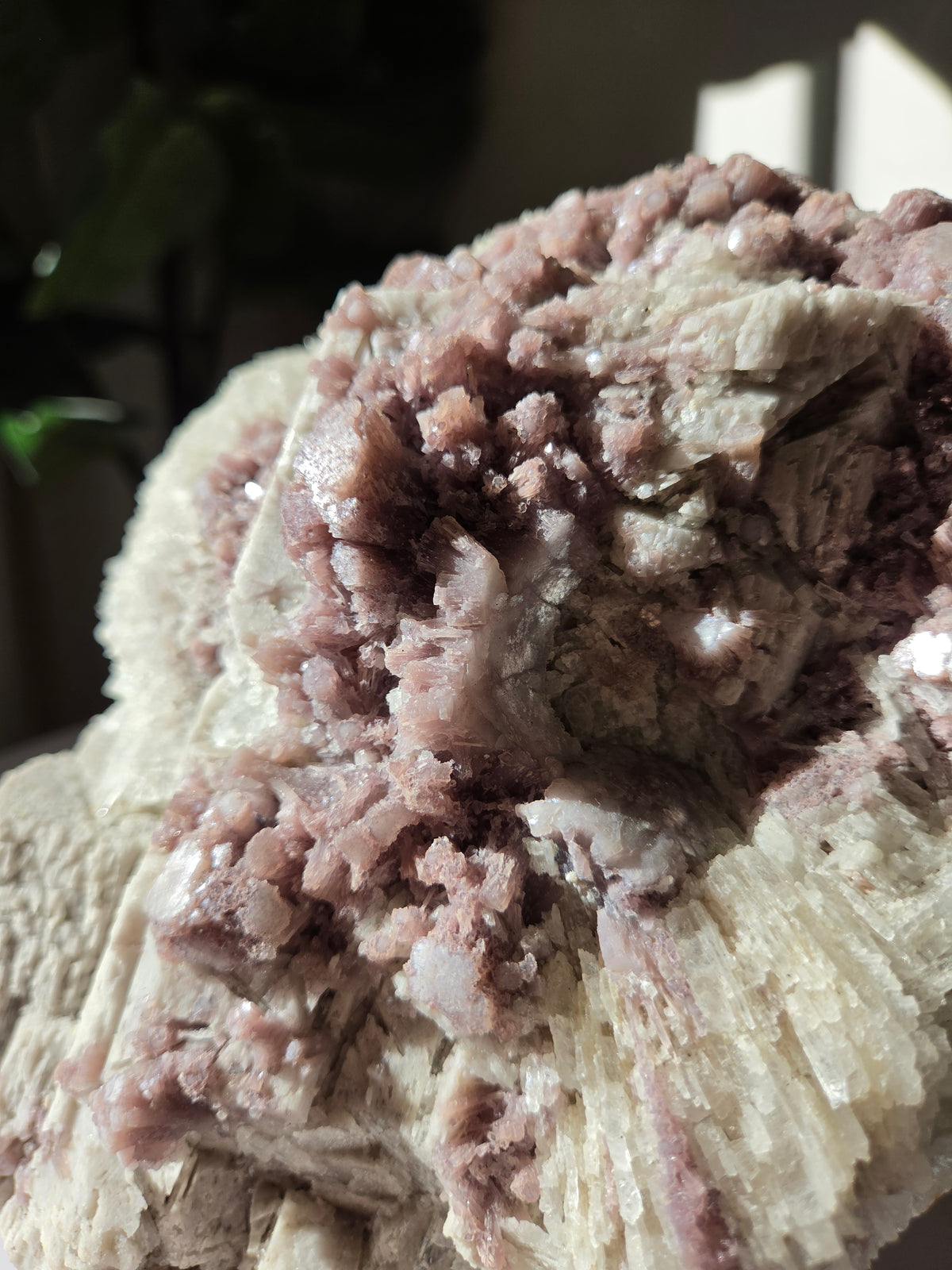Raw Lepidolite Statement