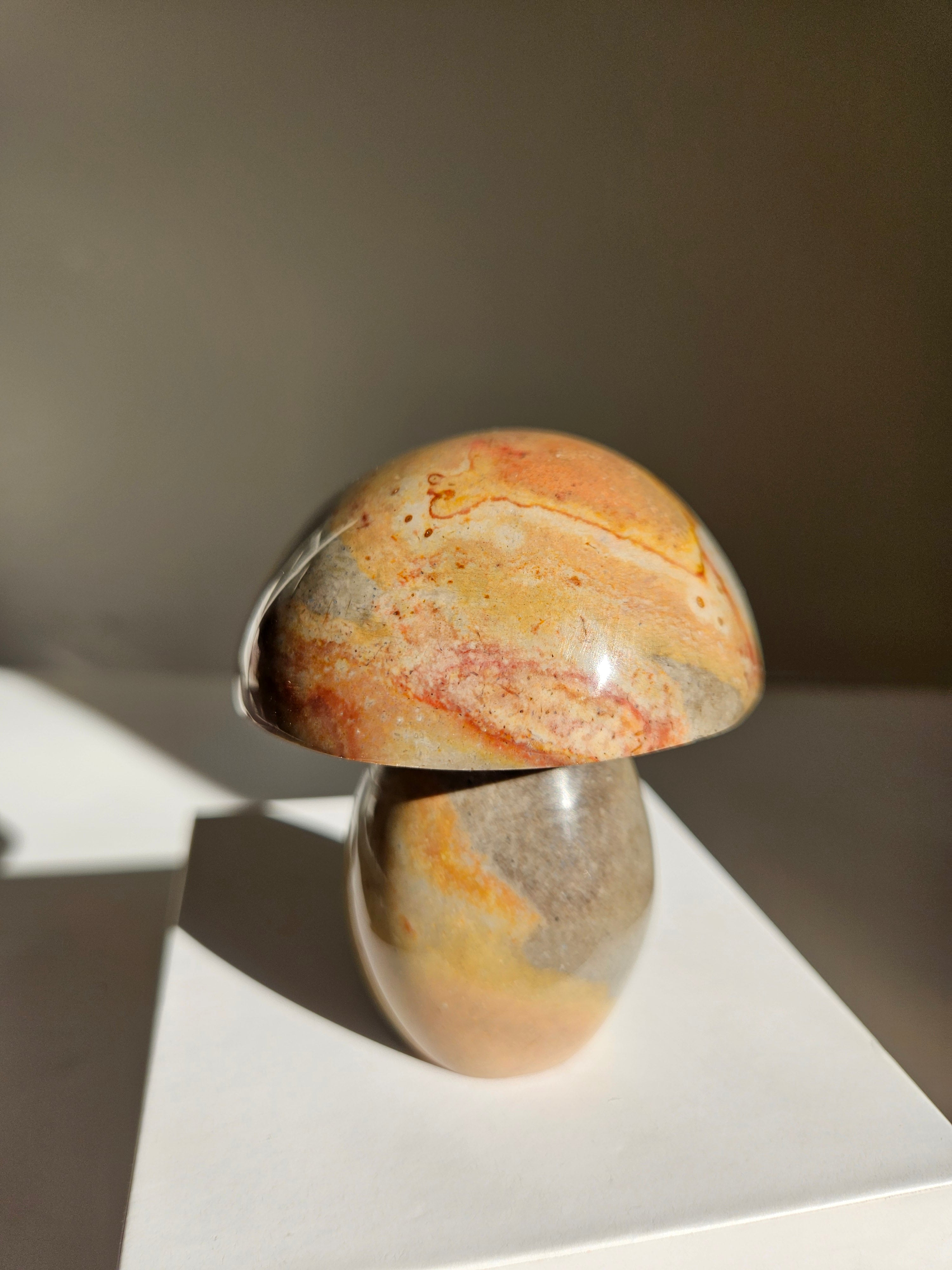 Polychrome Jasper Mushroom 002