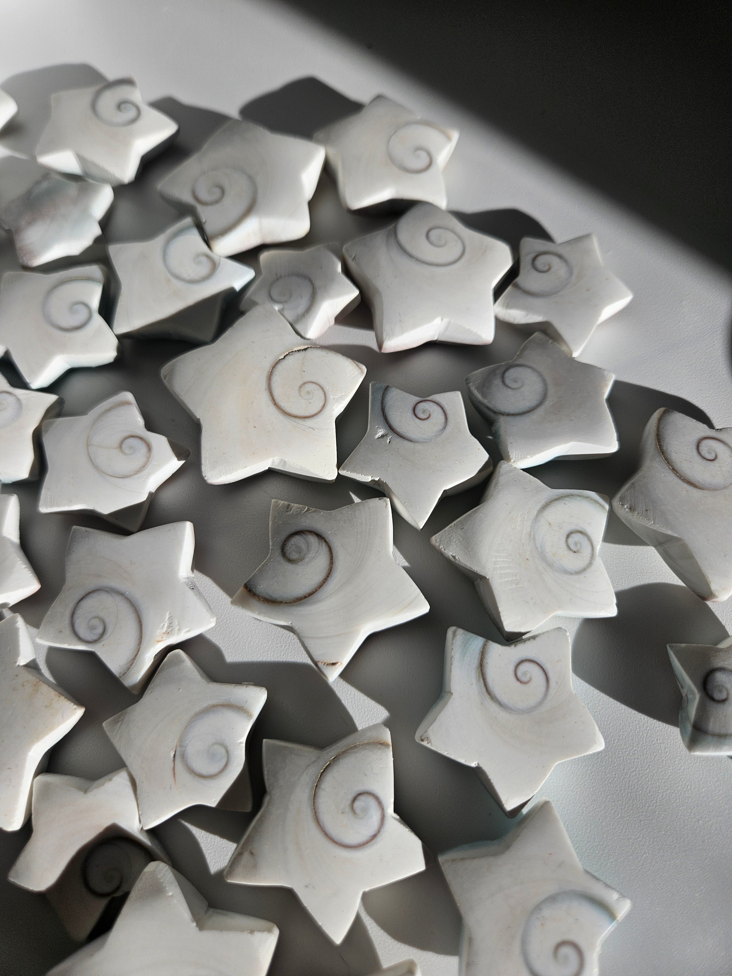 Shiva Shell Stars | set of three