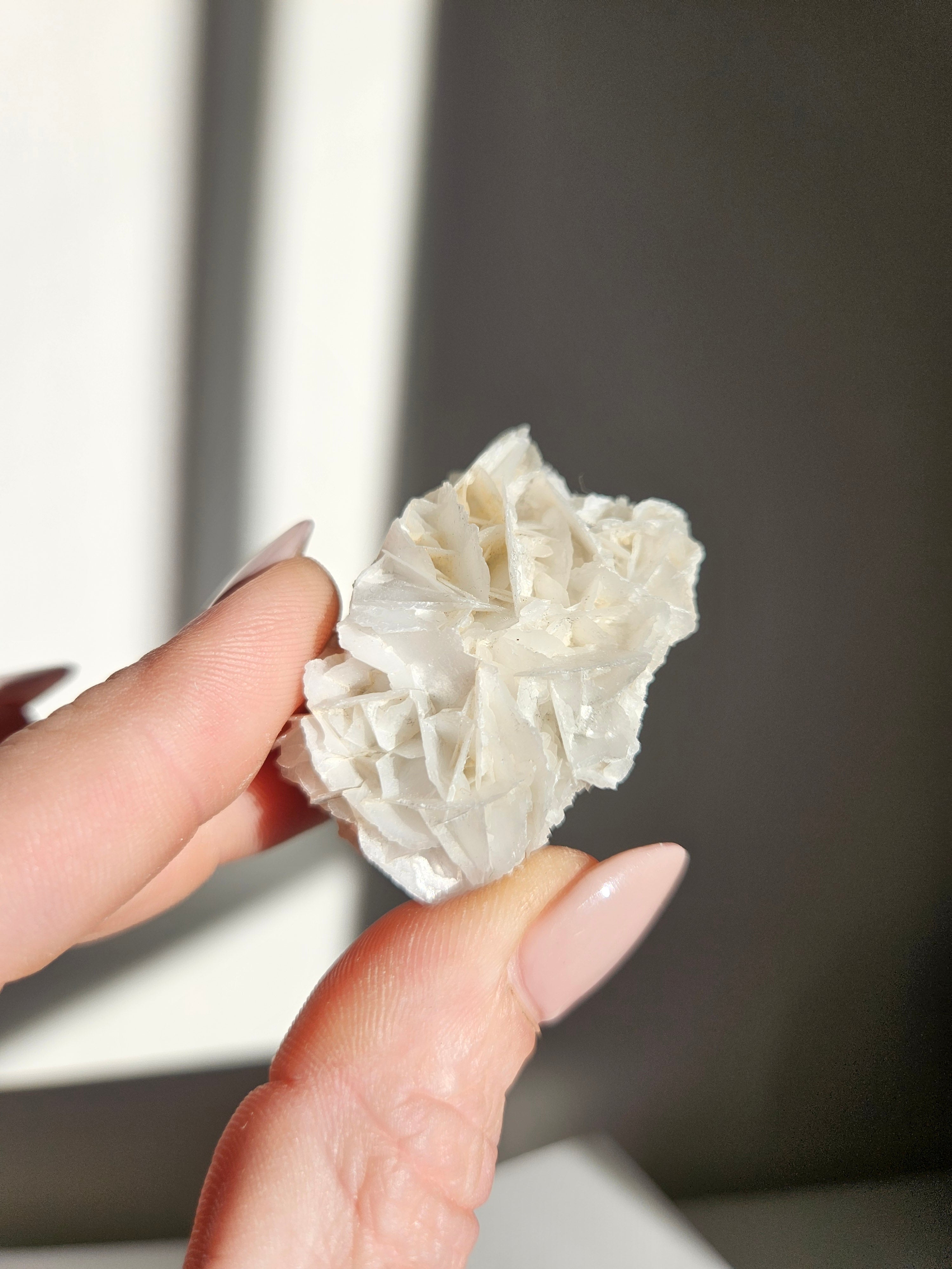 Bladed 'Rose' Calcite 004