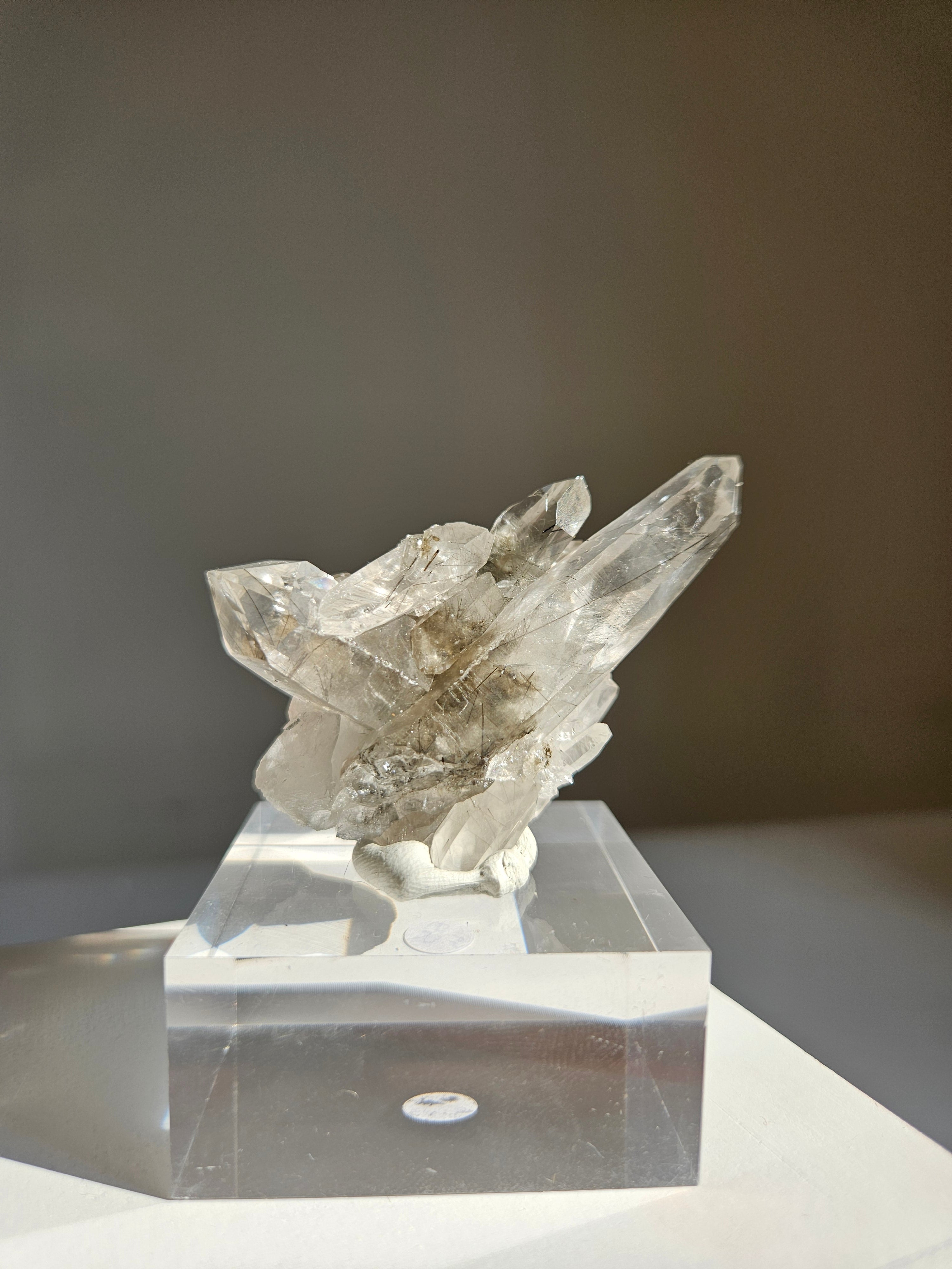 Black Tourmaline in Quartz 005