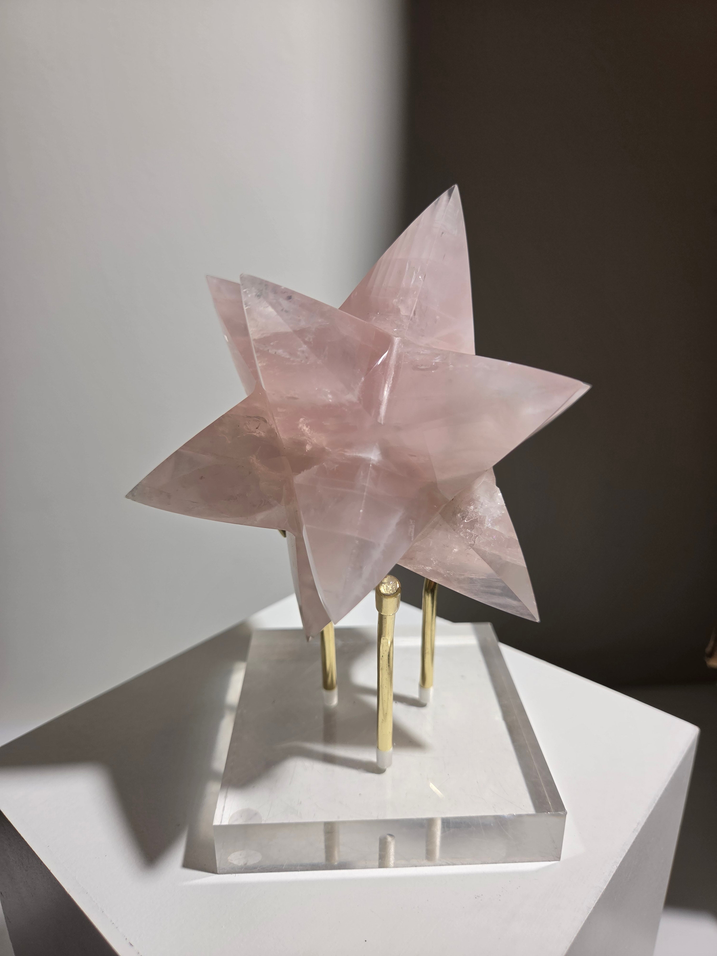 Rose Quartz x Asteroid 009