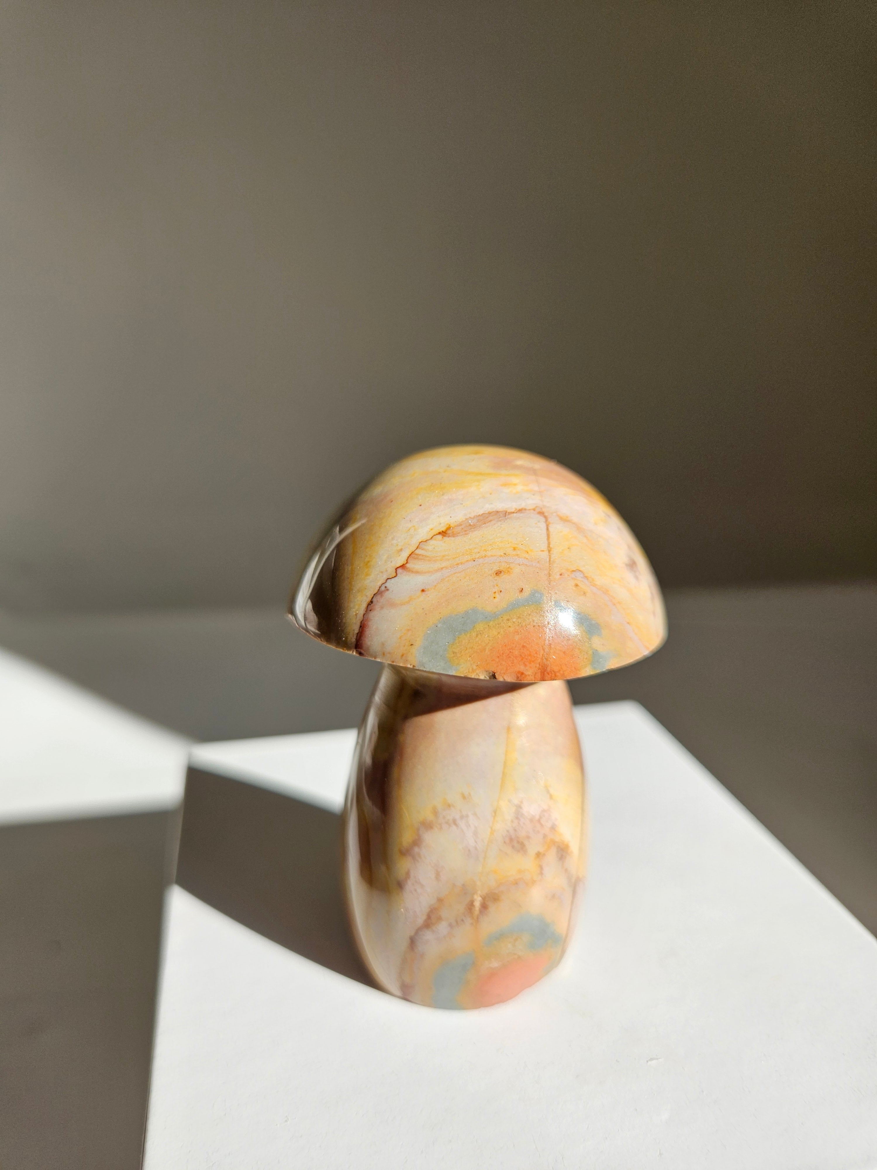 Polychrome Jasper Mushroom 004