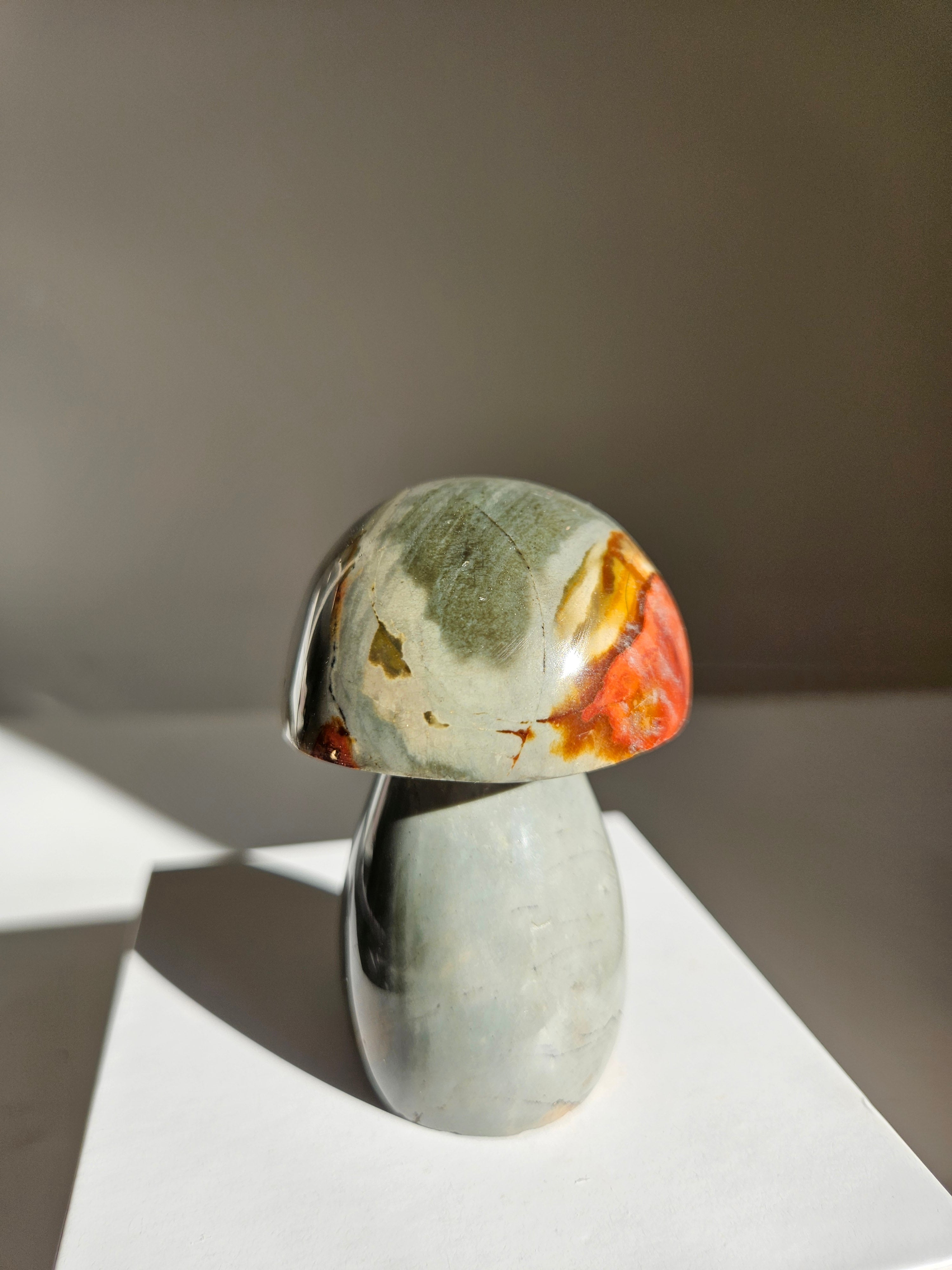 Polychrome Jasper Mushroom 001