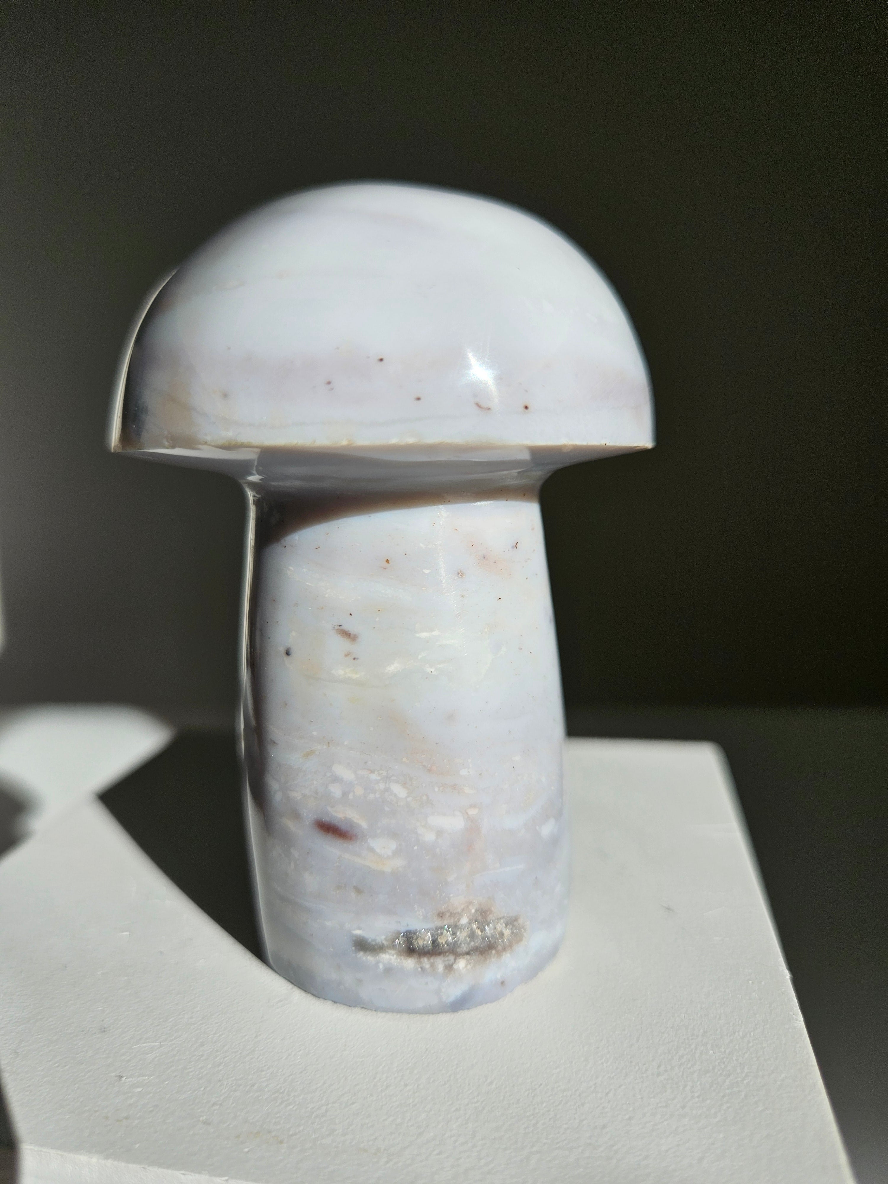Sea jasper mushroom 005