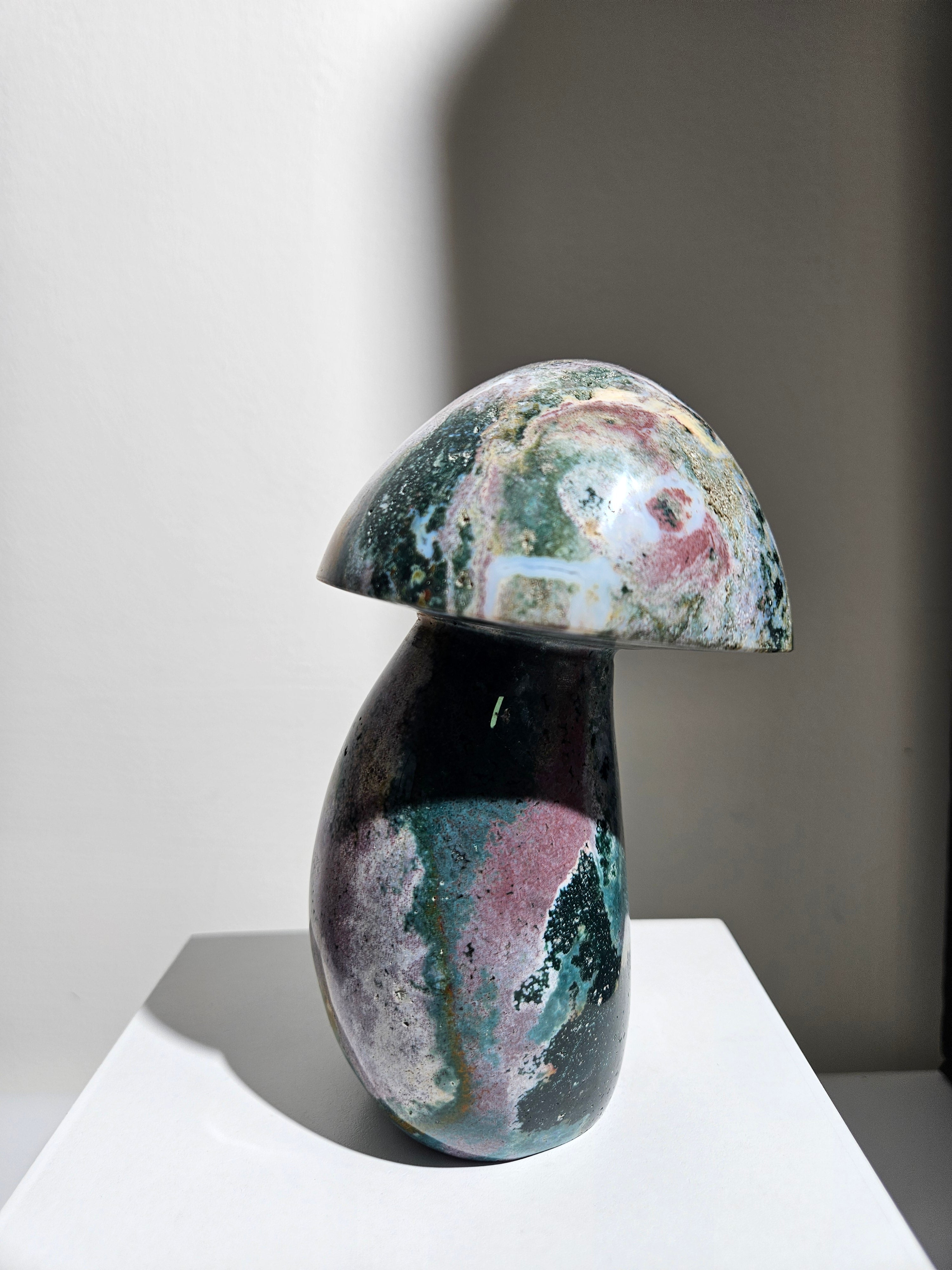 Sea Jasper Mushroom 010