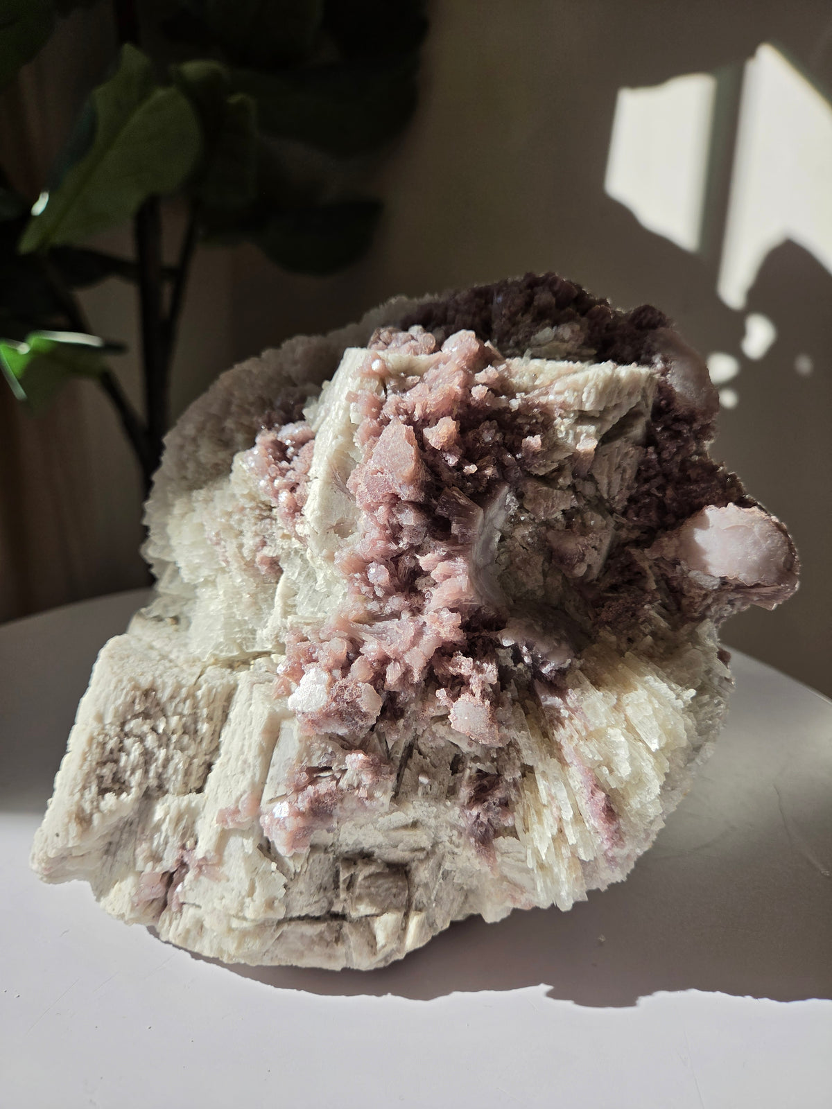 Raw Lepidolite Statement