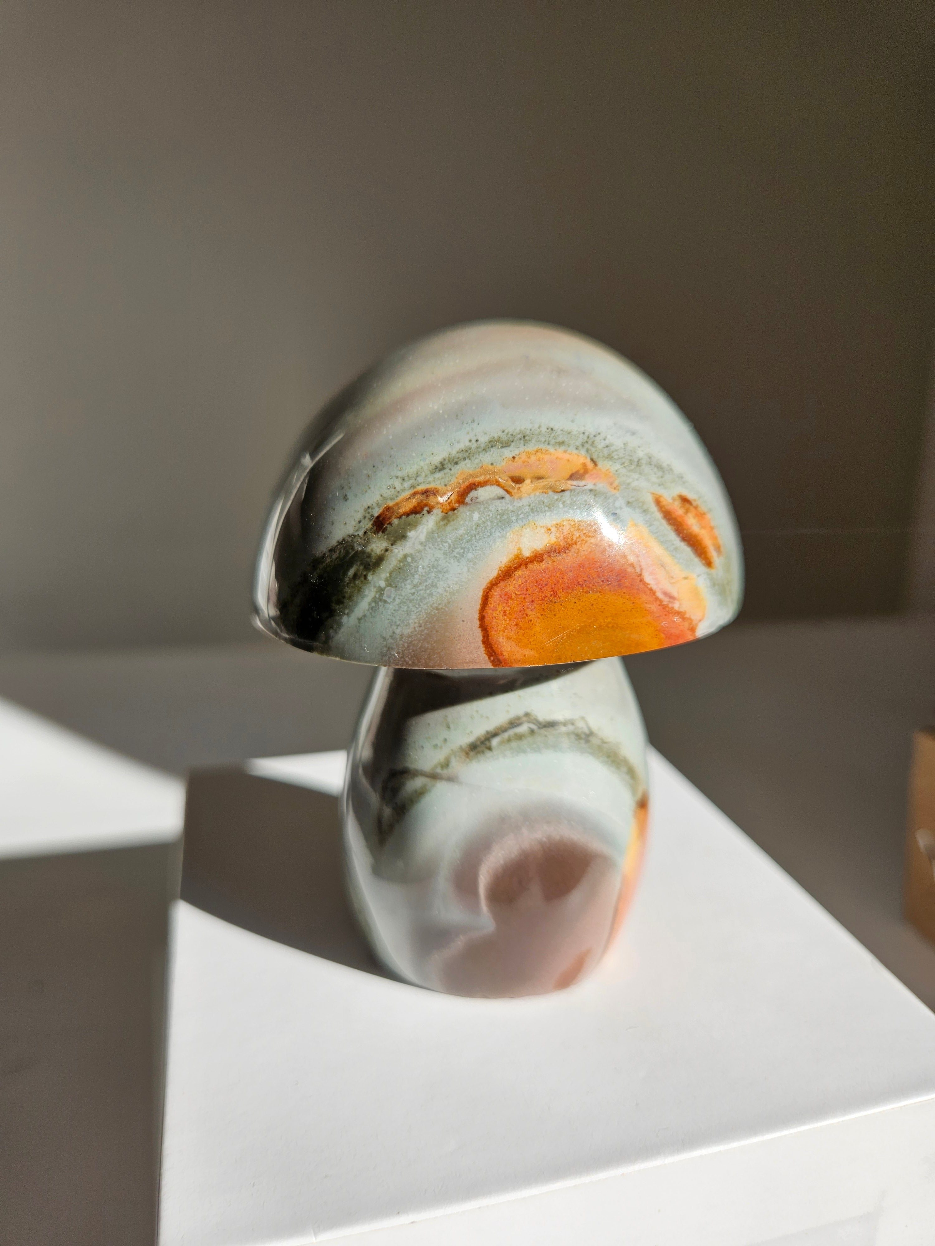 Polychrome Jasper Mushroom 006