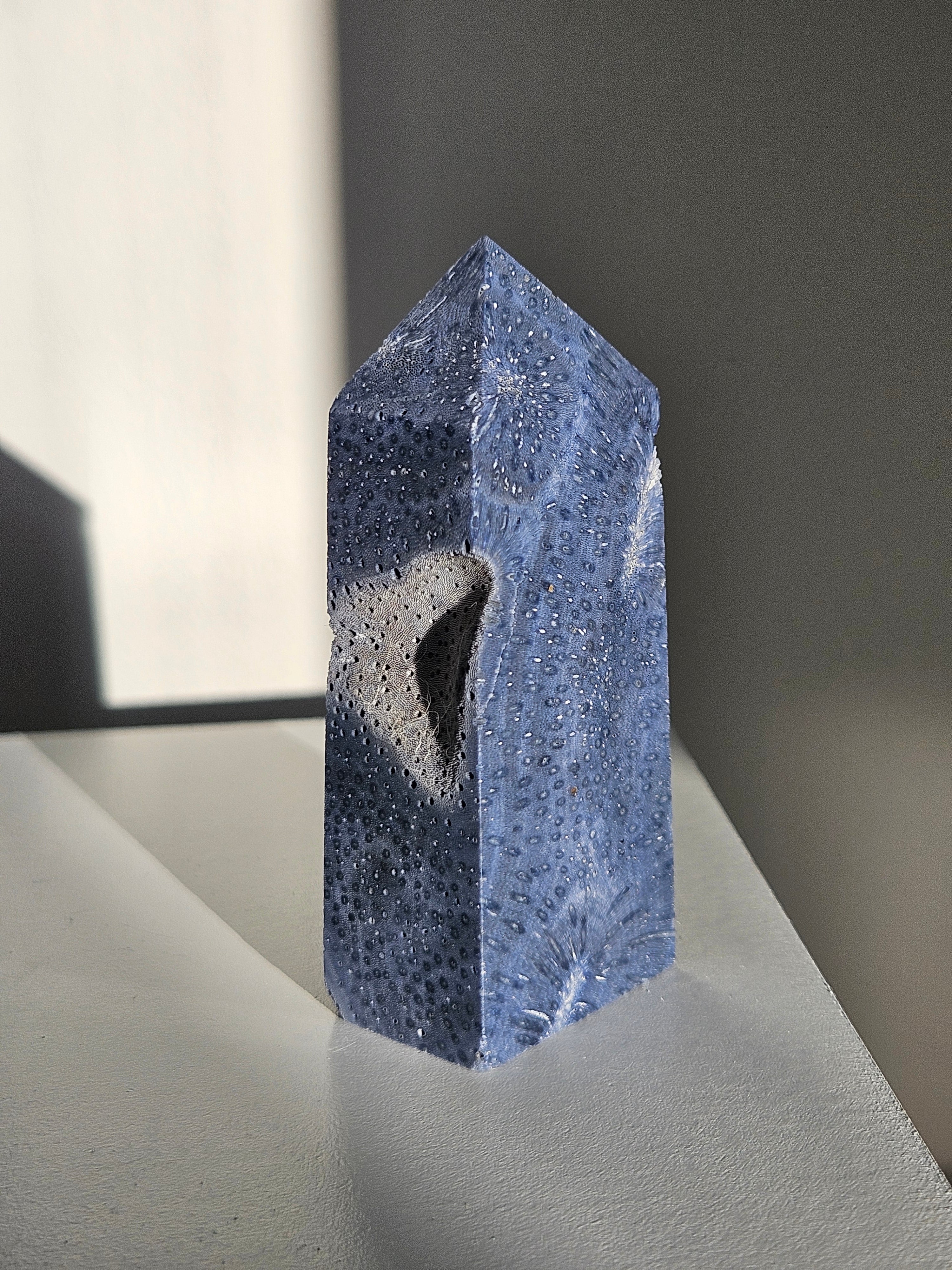 Blue Coral Tower 003