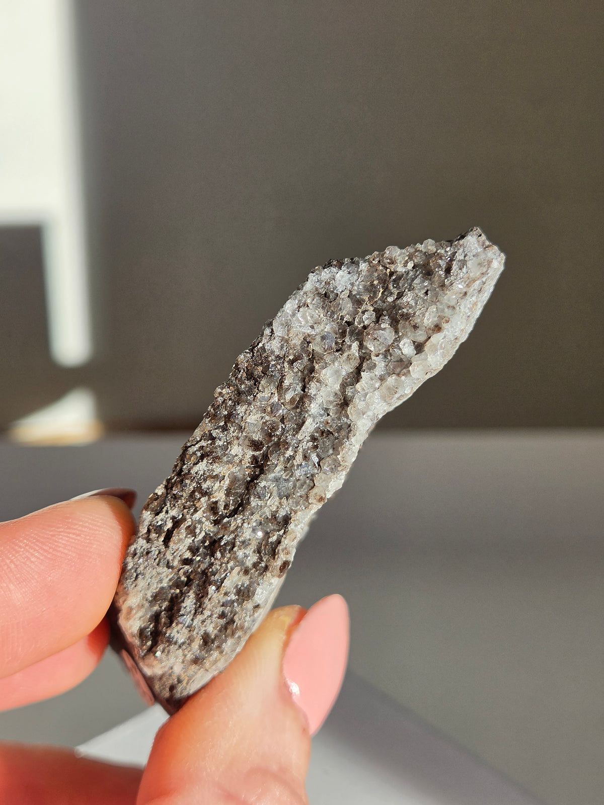 Smoky Quartz on Fossilized Wood 001