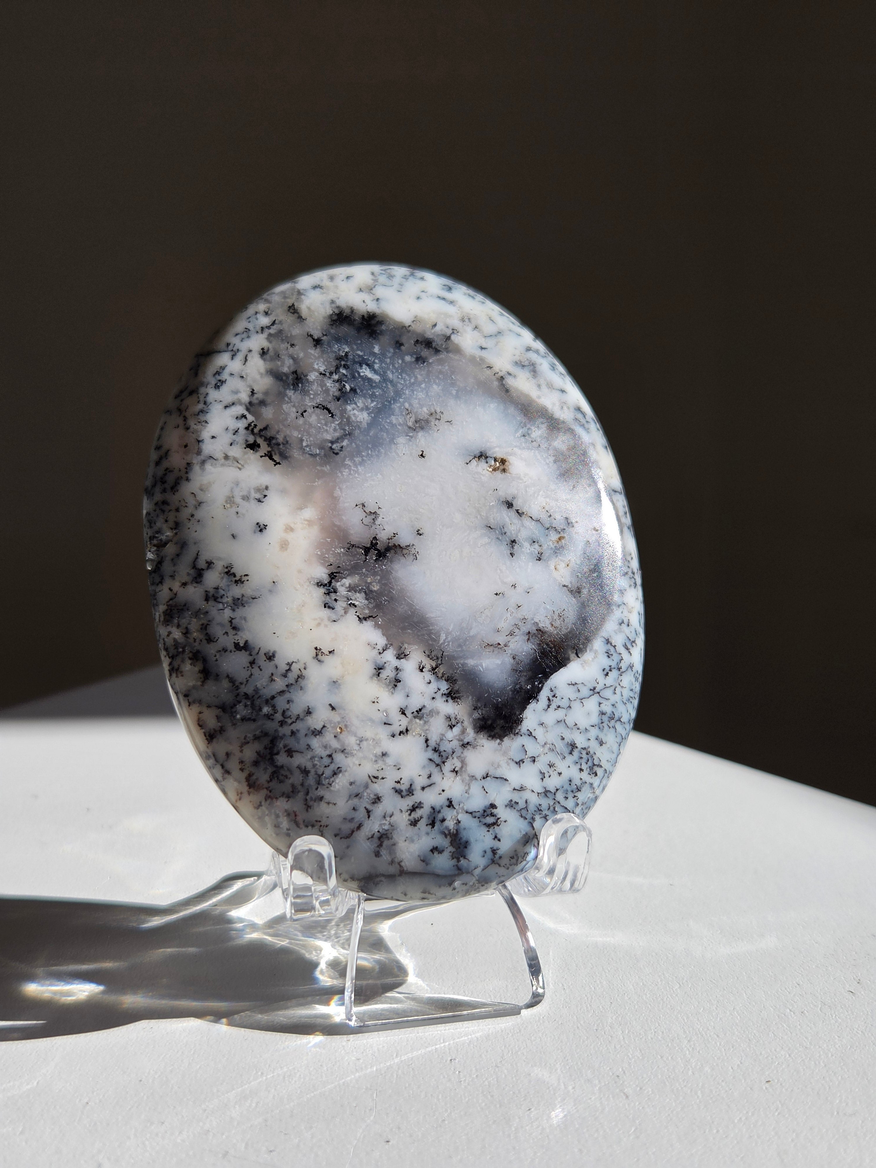 Dendritic Opal Palm 006