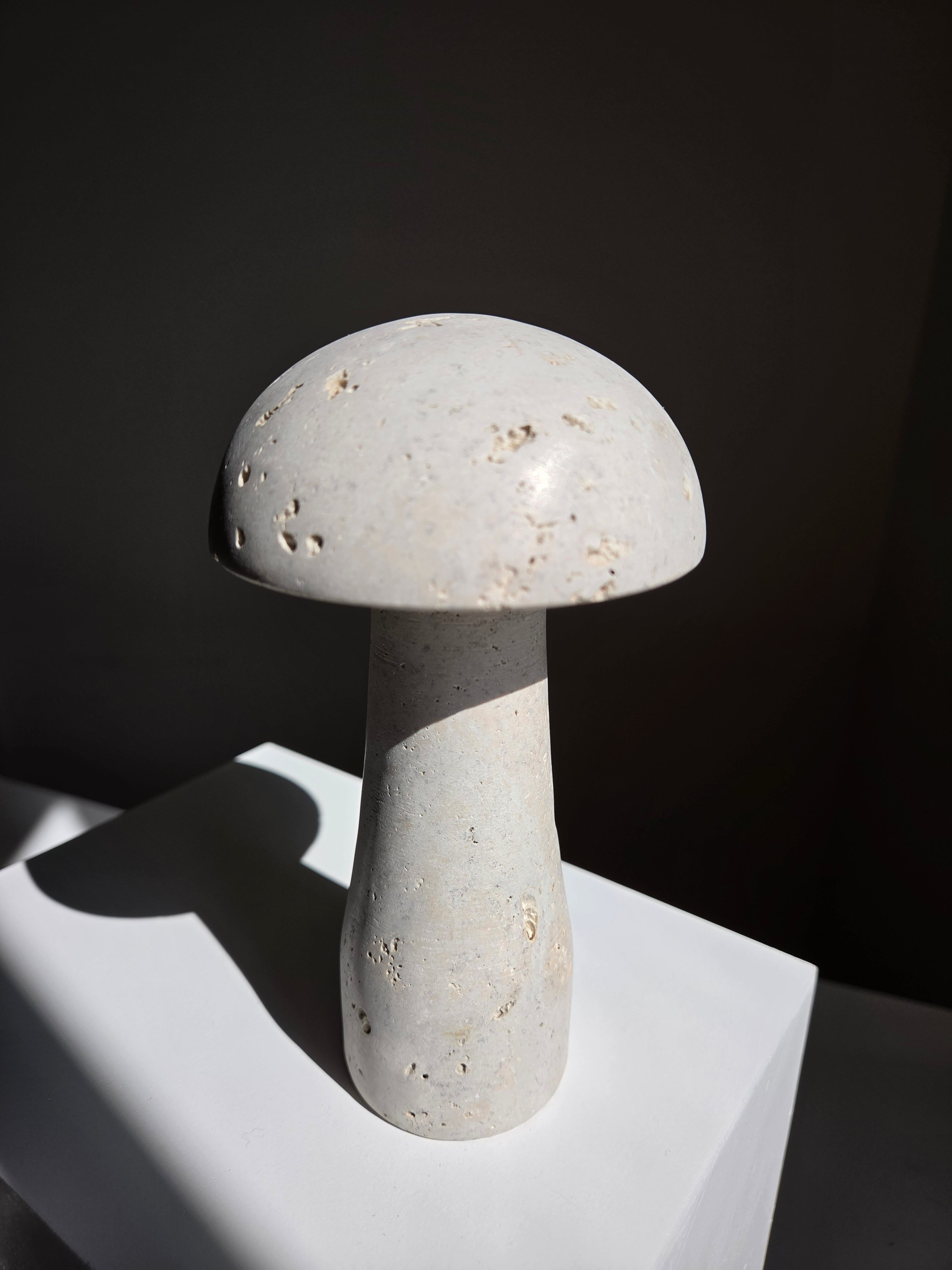 Travertine Mushroom | intuitively selected