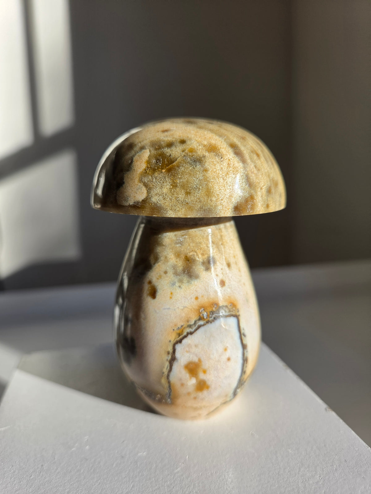 Sea Jasper Mushroom 003