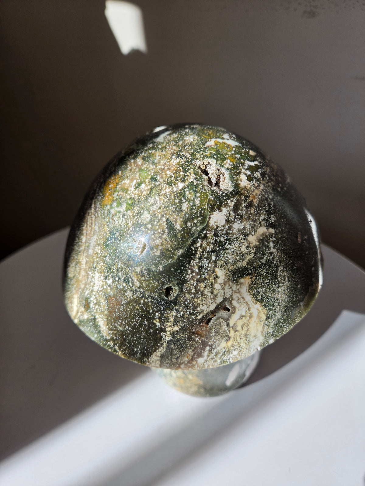 XL Sea Jasper Mushroom 001