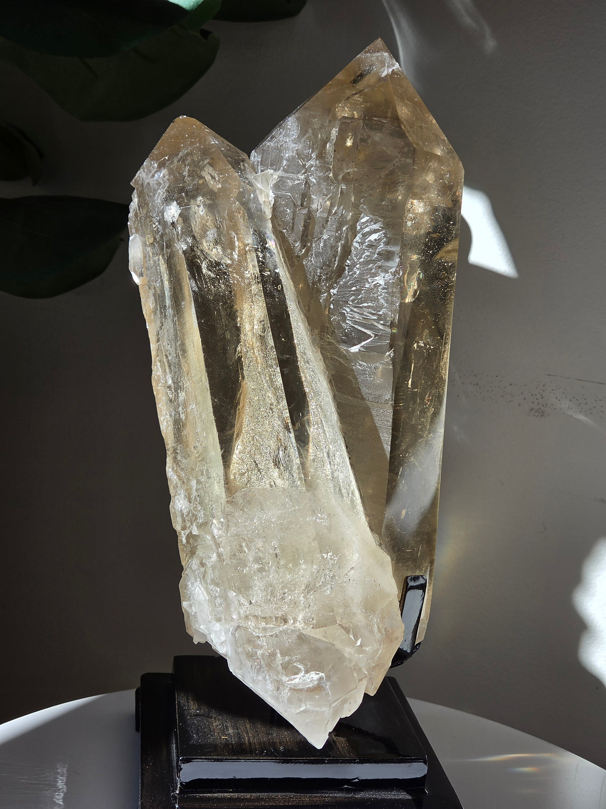 Semipolished Citrine Lemurian Twin Statement