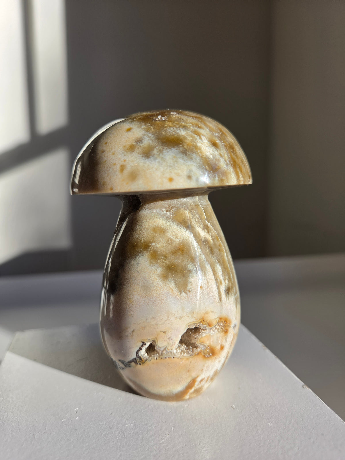 Sea Jasper Mushroom 003