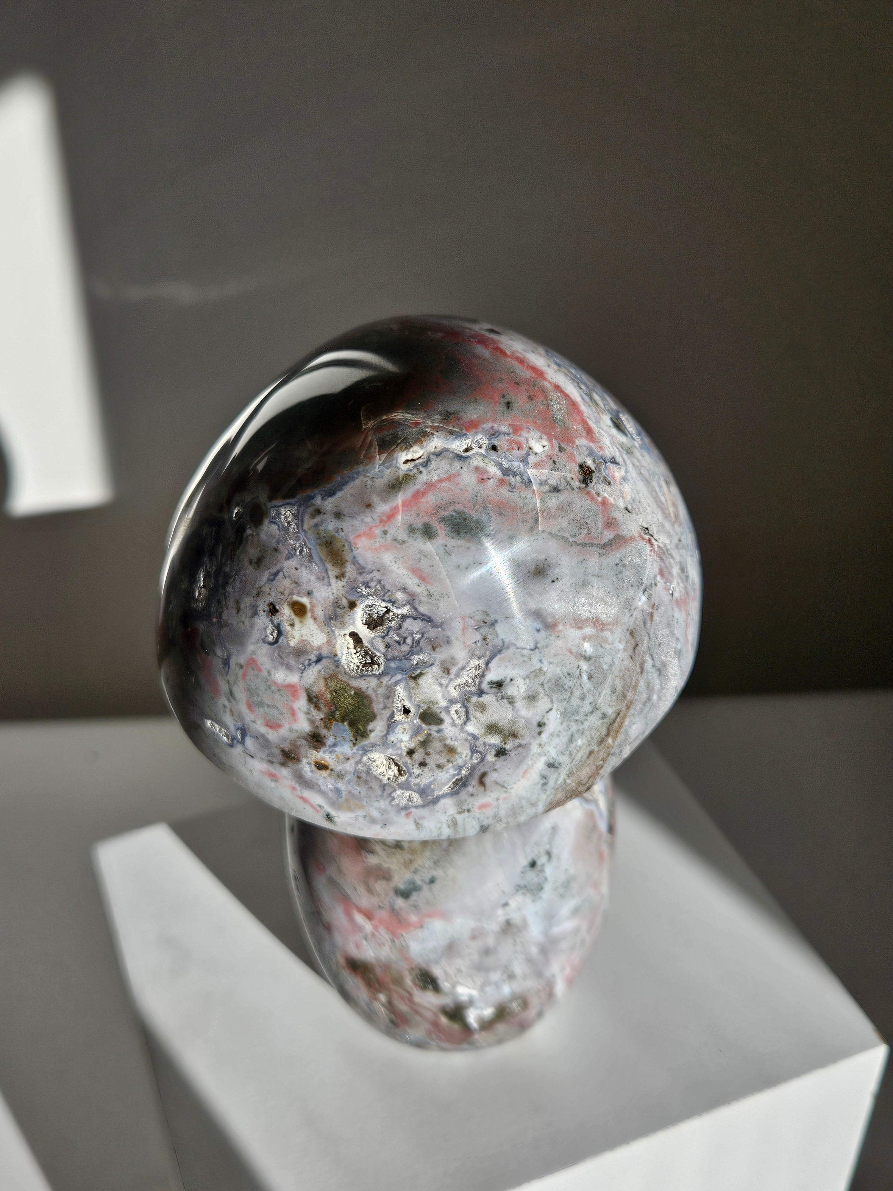 Sea Jasper Mushroom 011