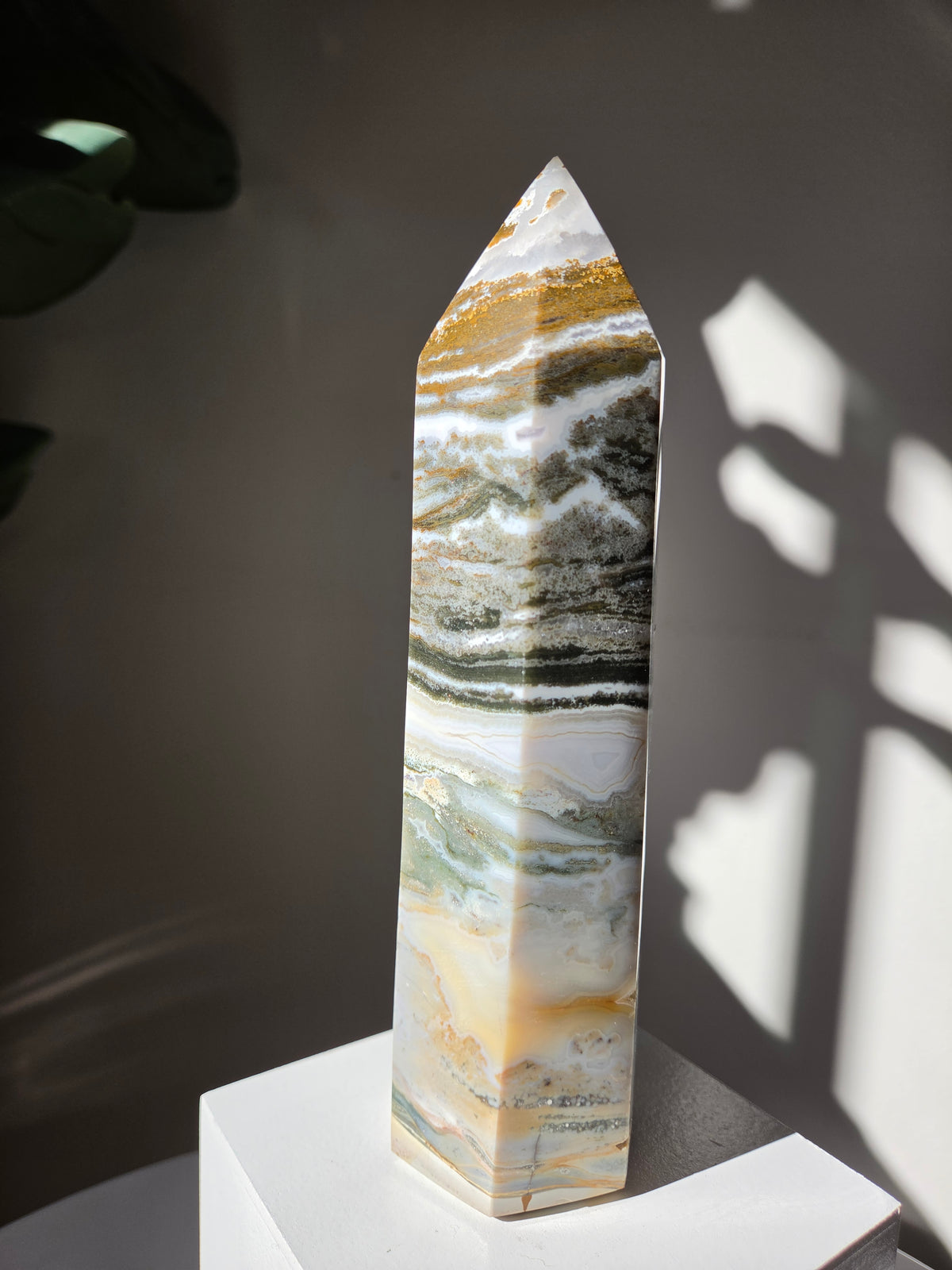 Sea Jasper Tower 007