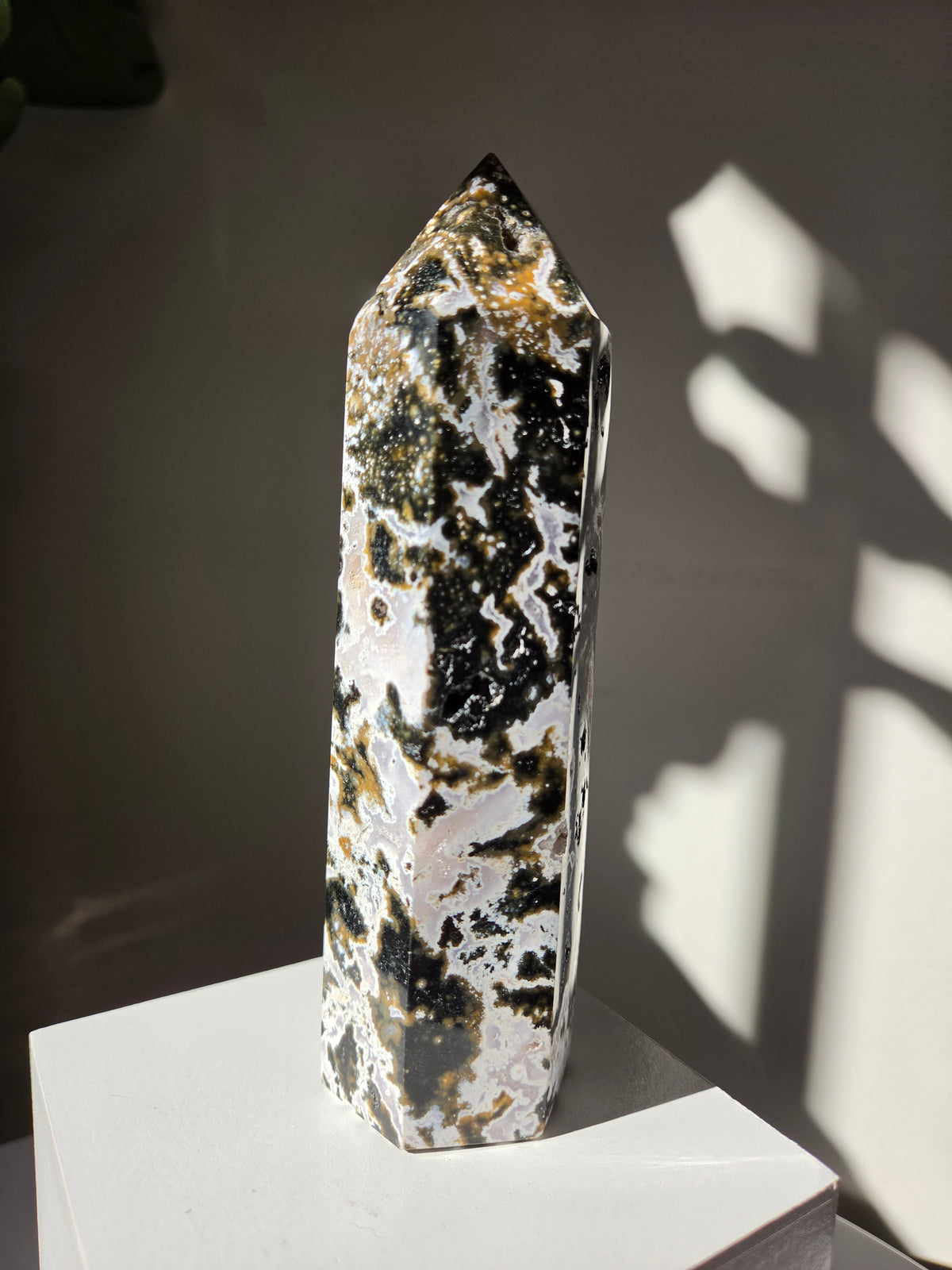 Sea Jasper Tower 004