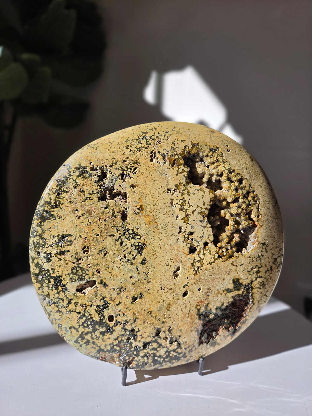 Sea Jasper Slab 013