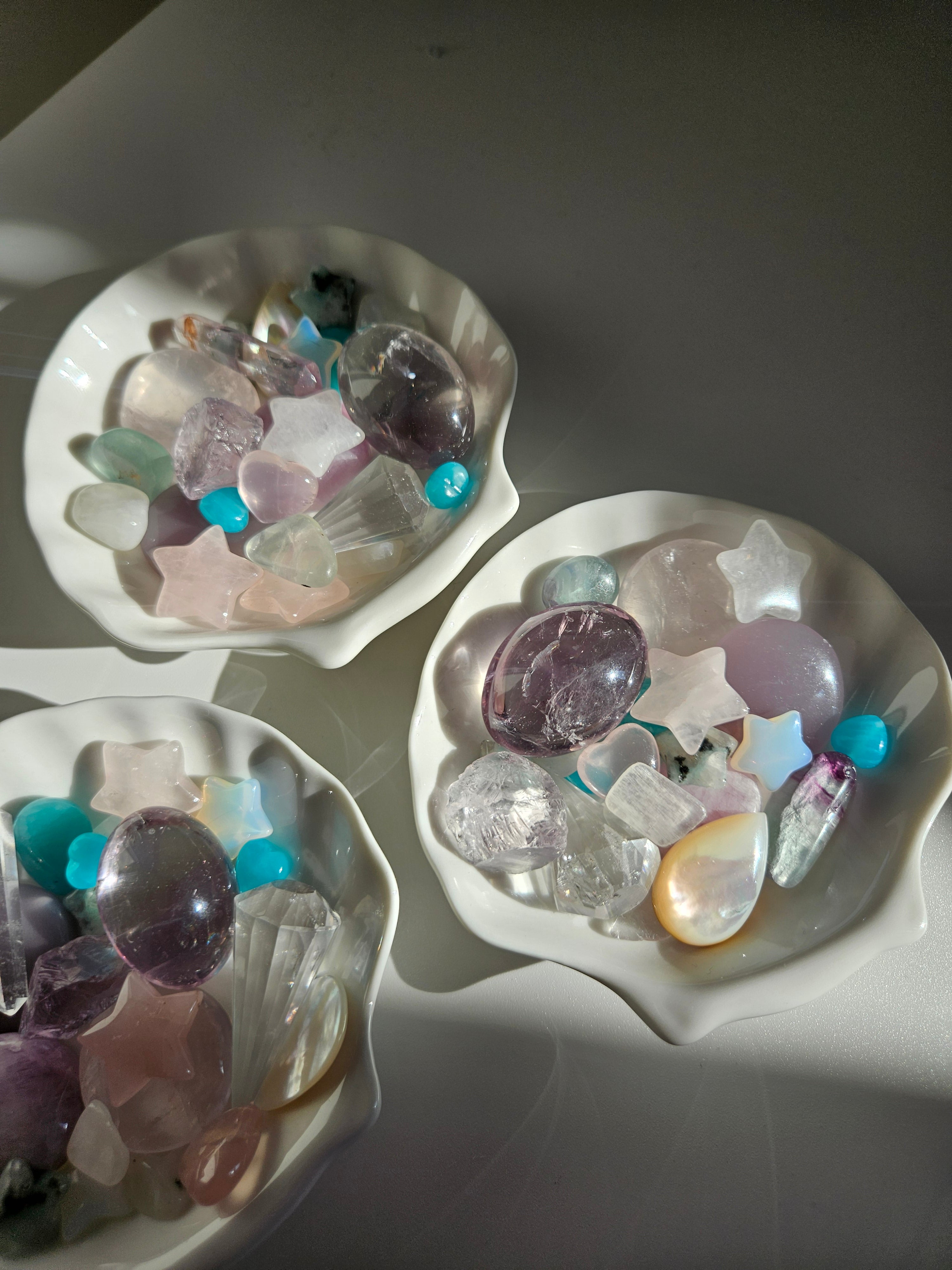 Deep Sea Shell Set