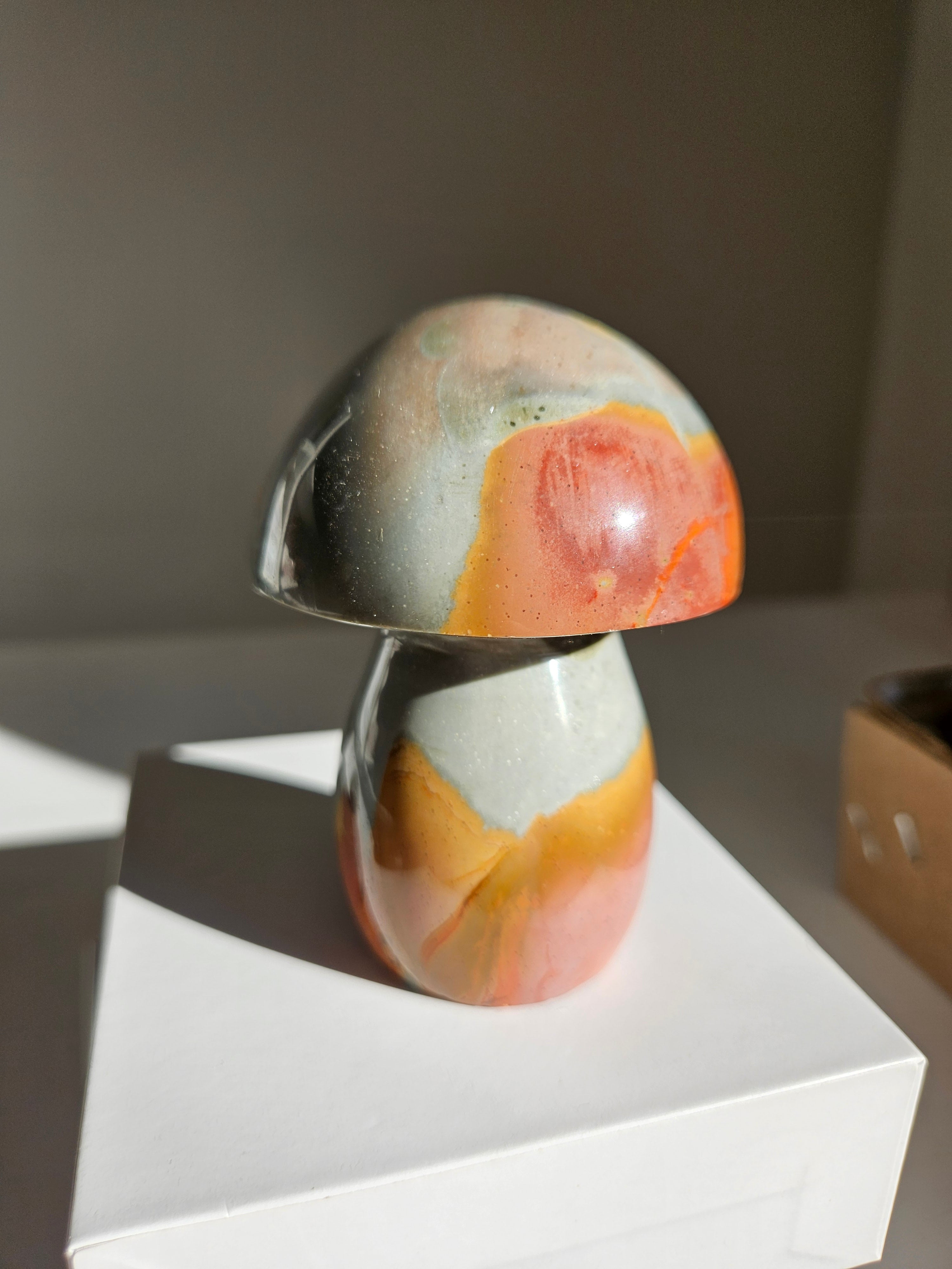 Polychrome Jasper Mushroom 006