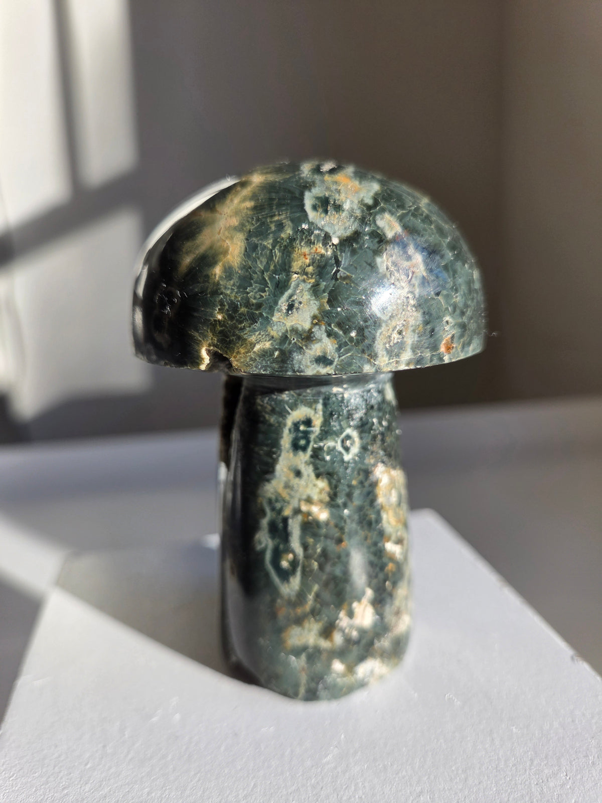 Sea Jasper Mushroom 002