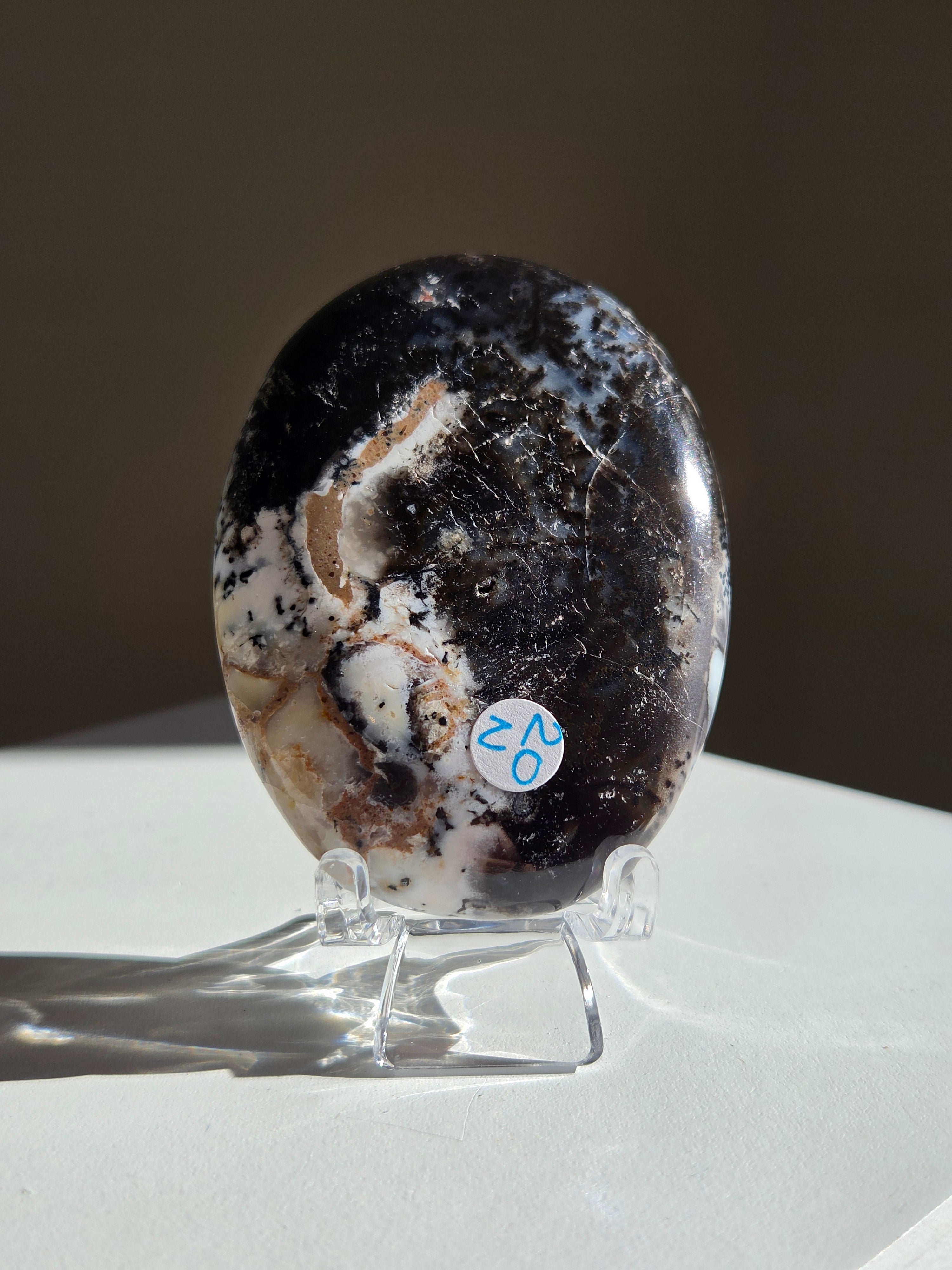 Dendritic Opal Palm 008
