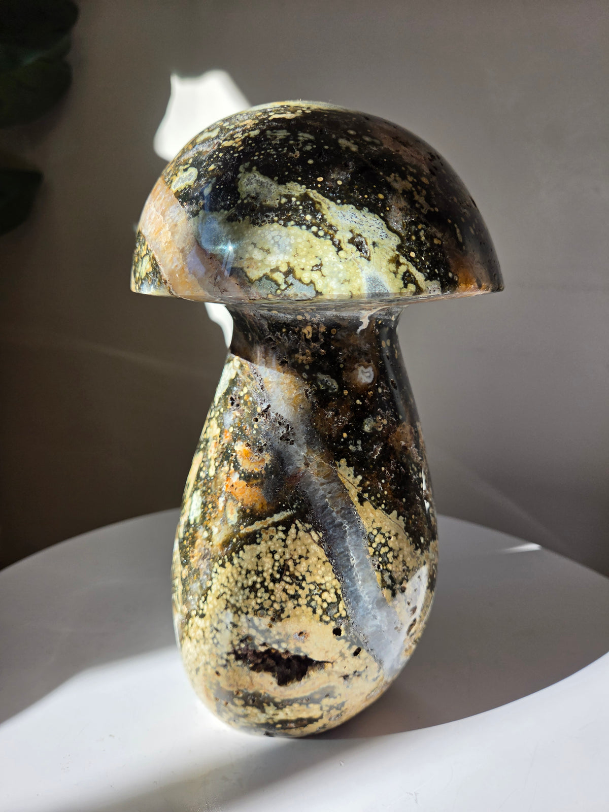 XL Sea Jasper Mushroom 003