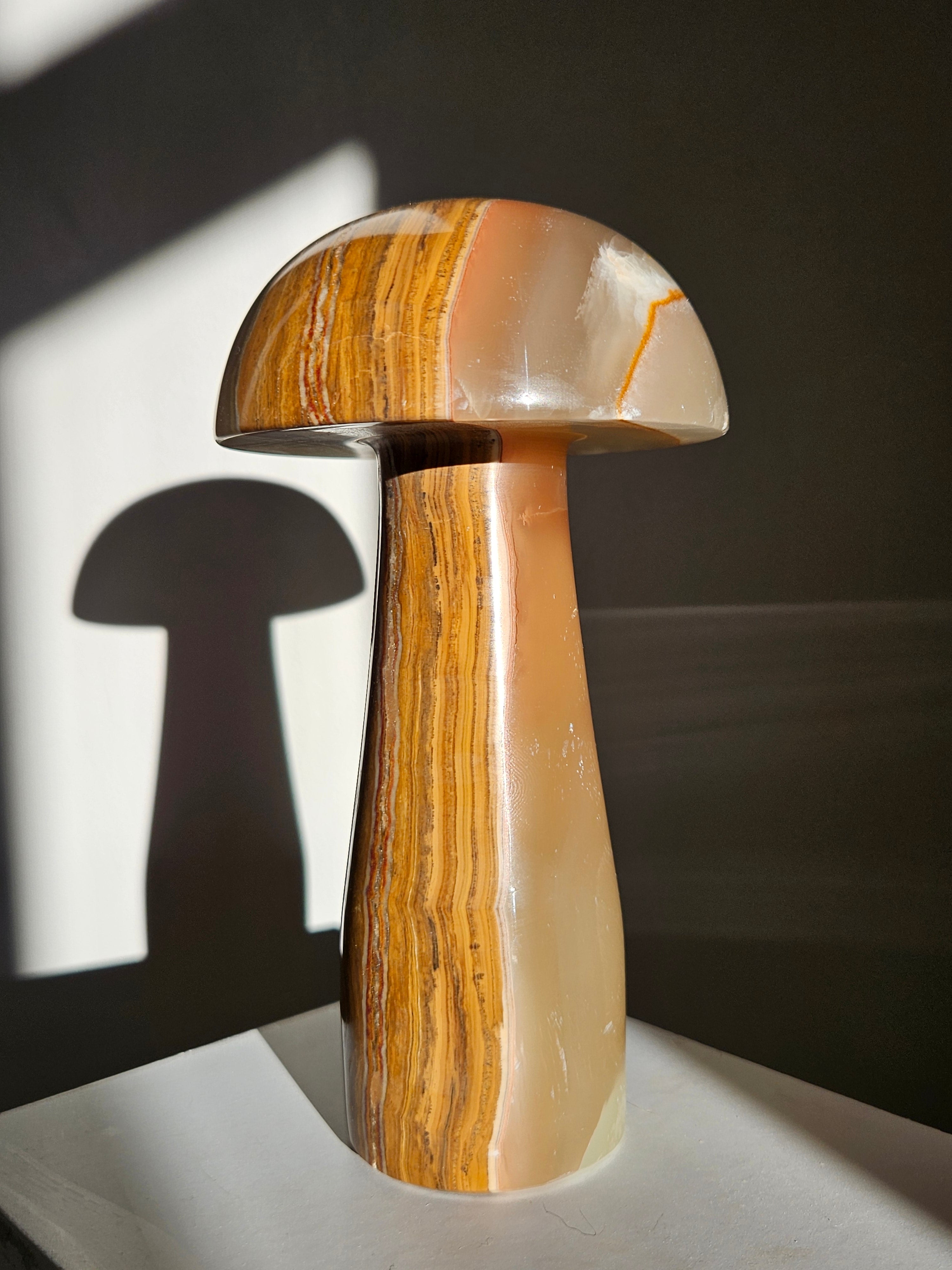 Onyx Mushroom 001