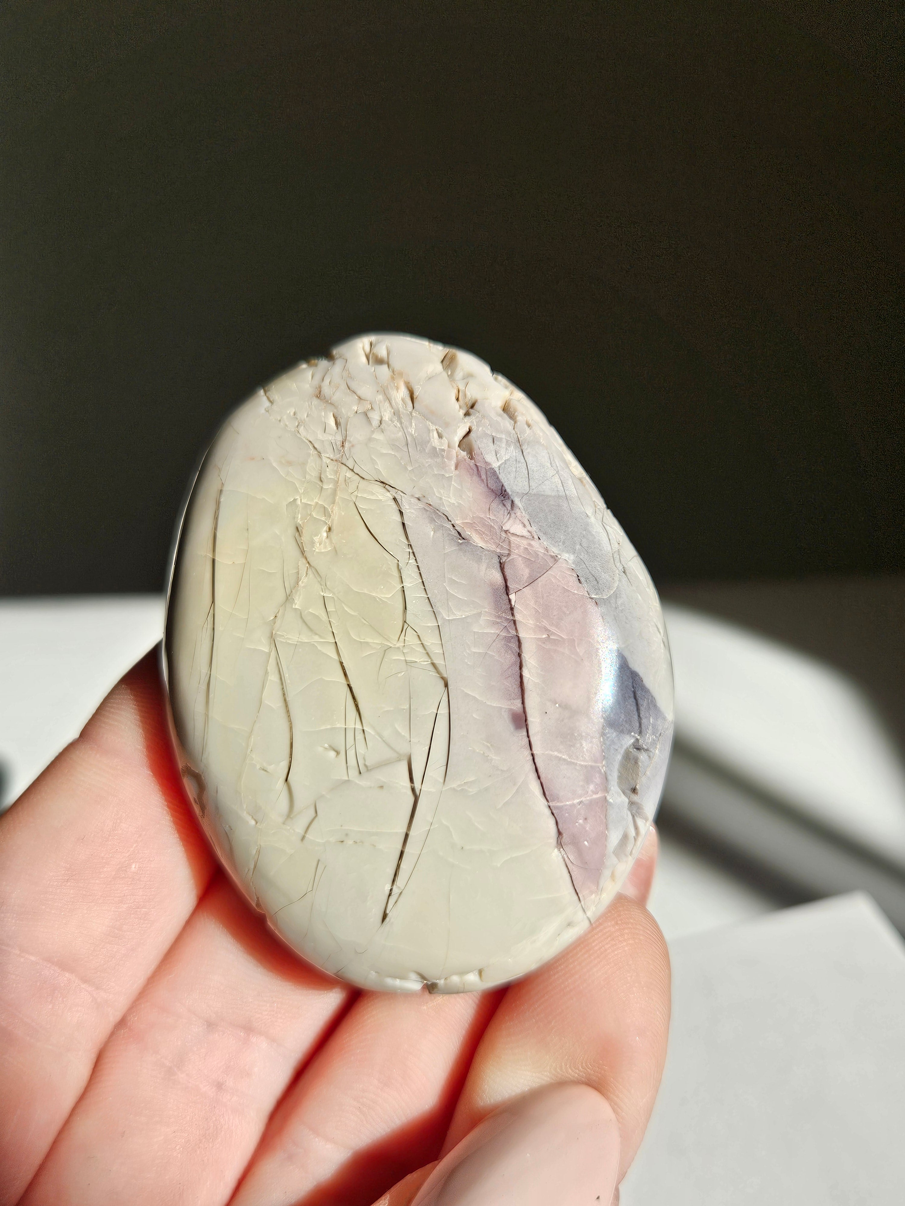 Hyacinth jasper palm 003