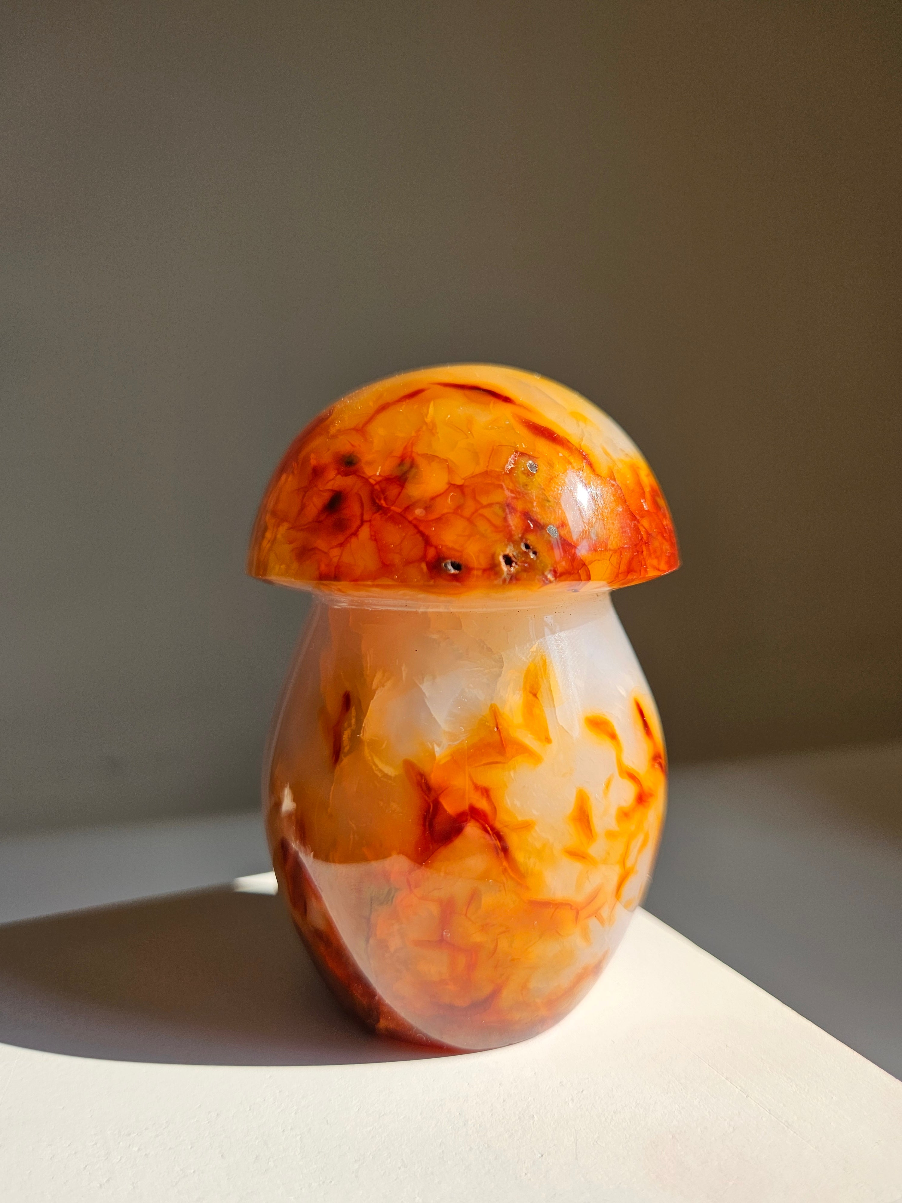 Carnelian Mushroom 004