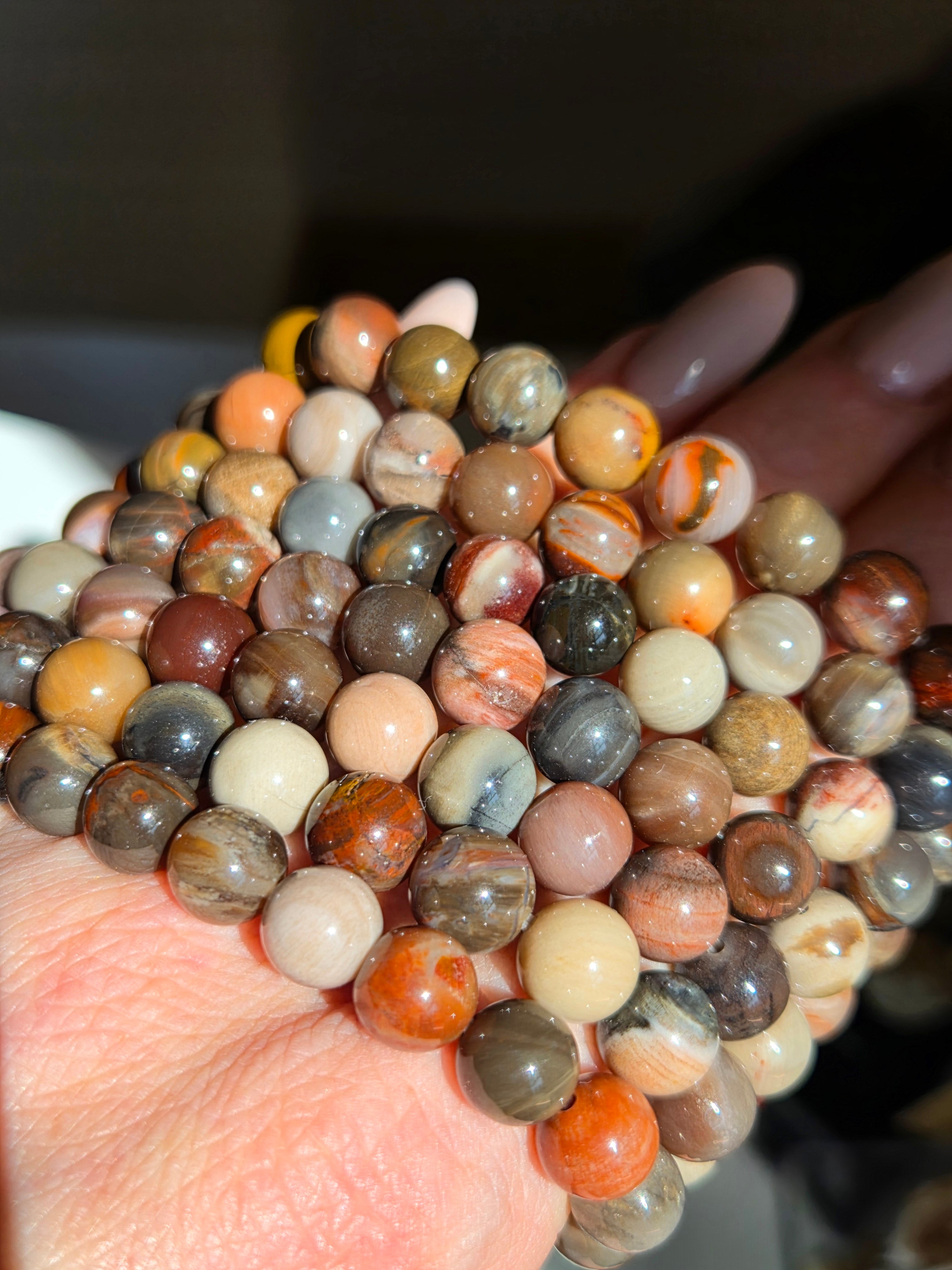 Petrified Wood Bracelet | 8mm
