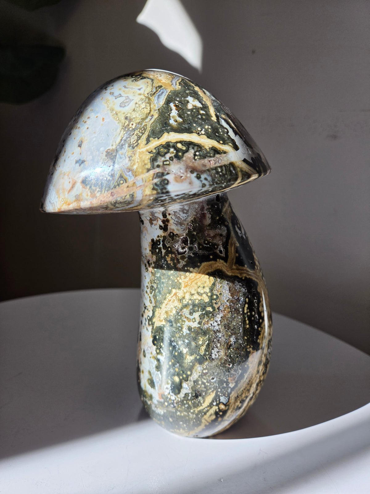 XL Sea Jasper Mushroom 002