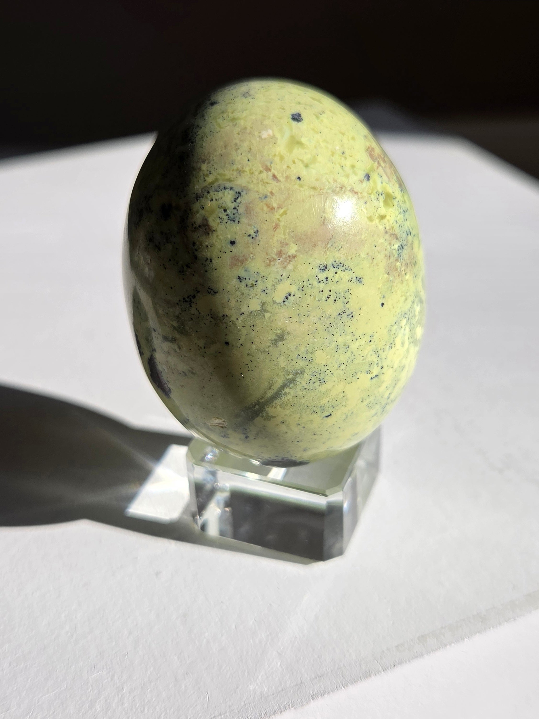 Serpentine Egg 006
