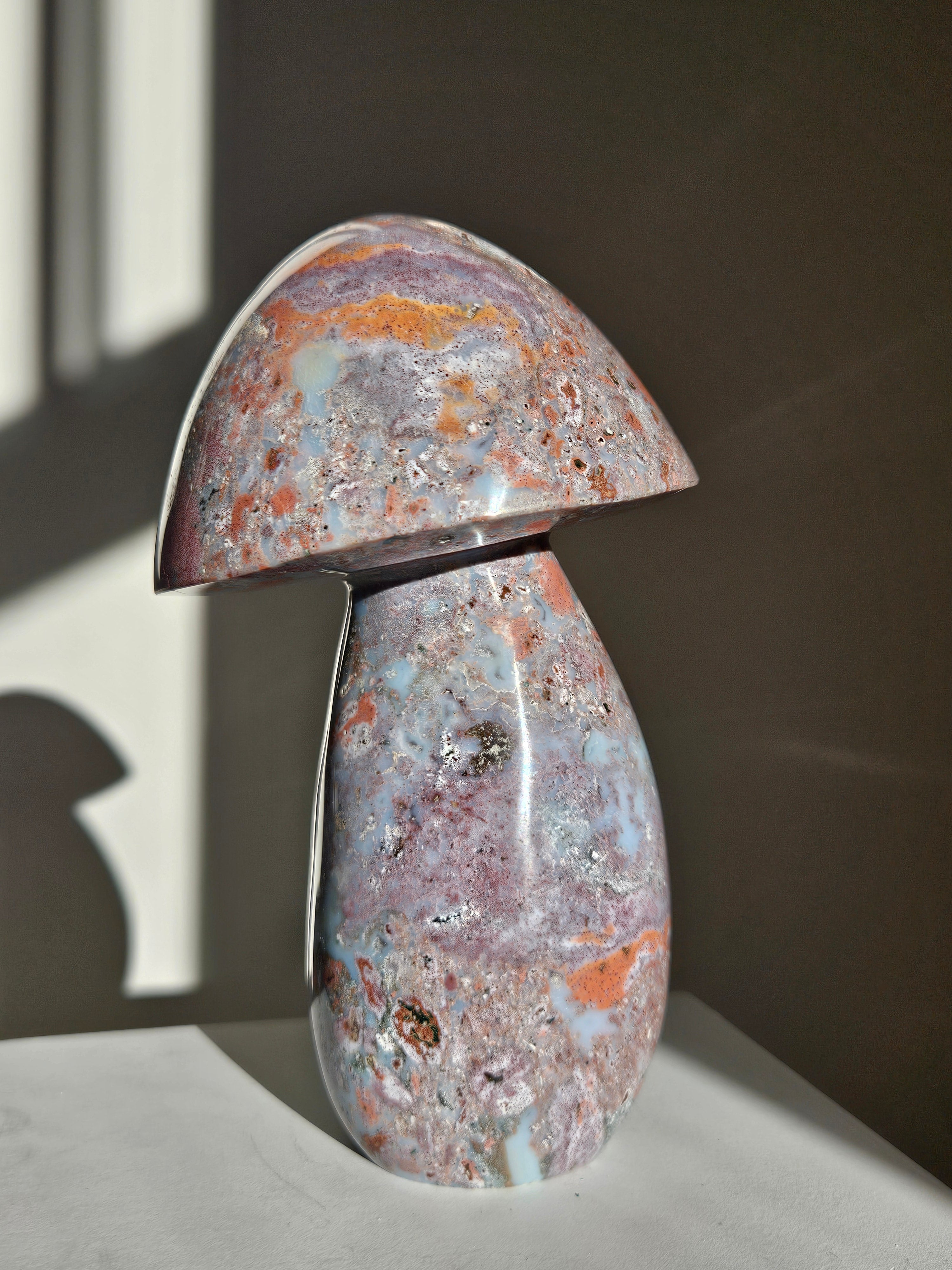 Sea Jasper Mushroom 009