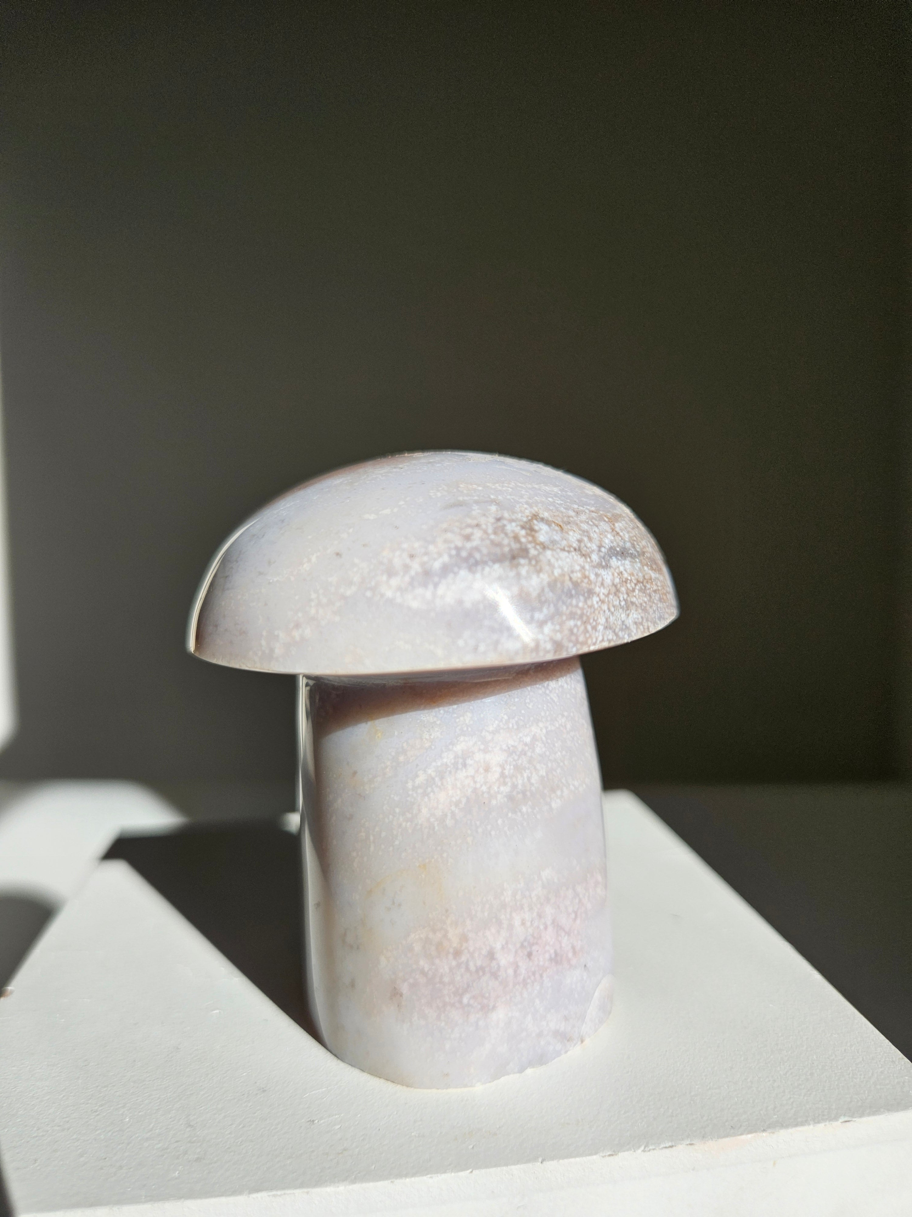 Sea jasper mushroom 008