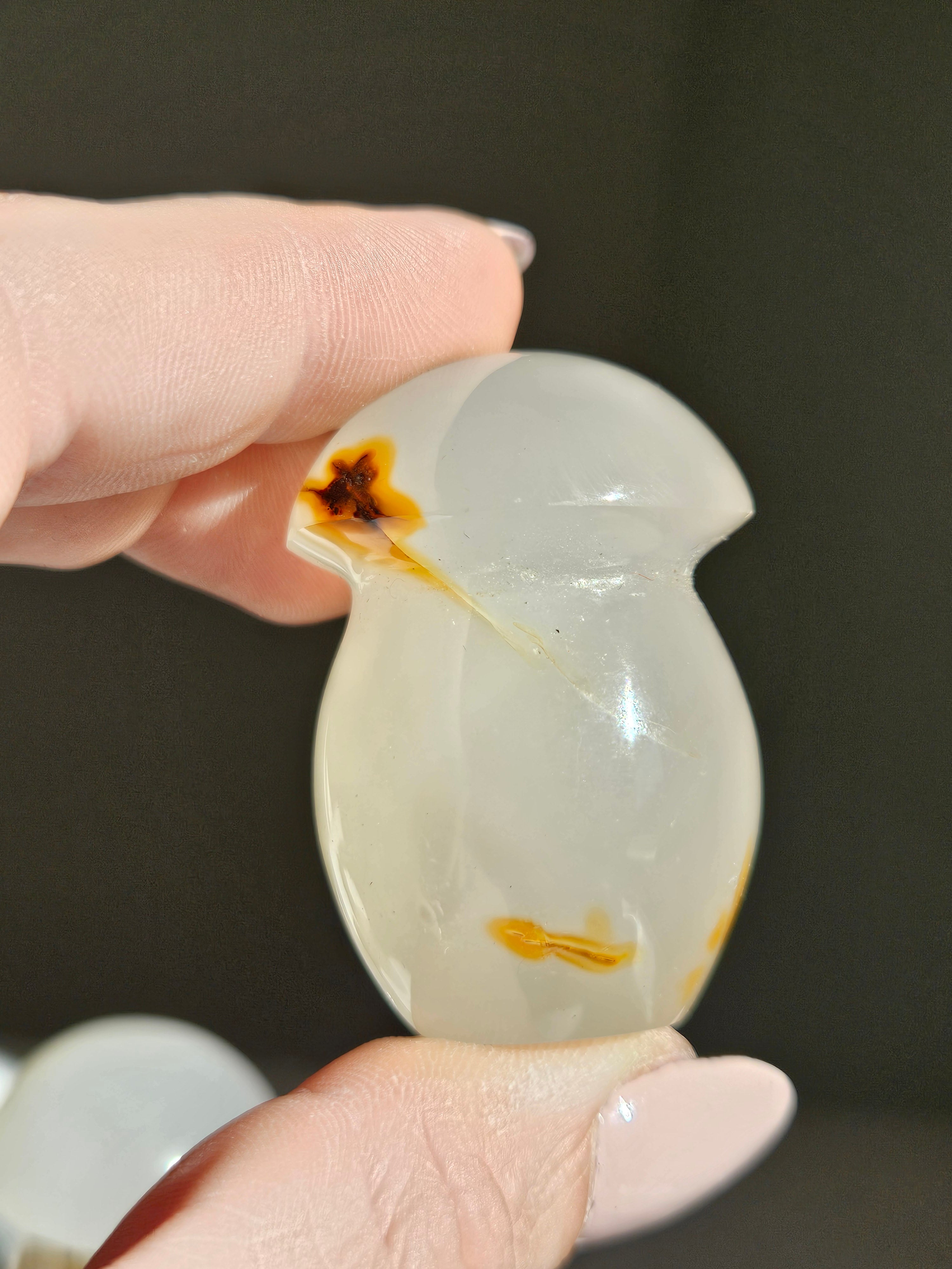 Agate Mushroom | Intuitively selected