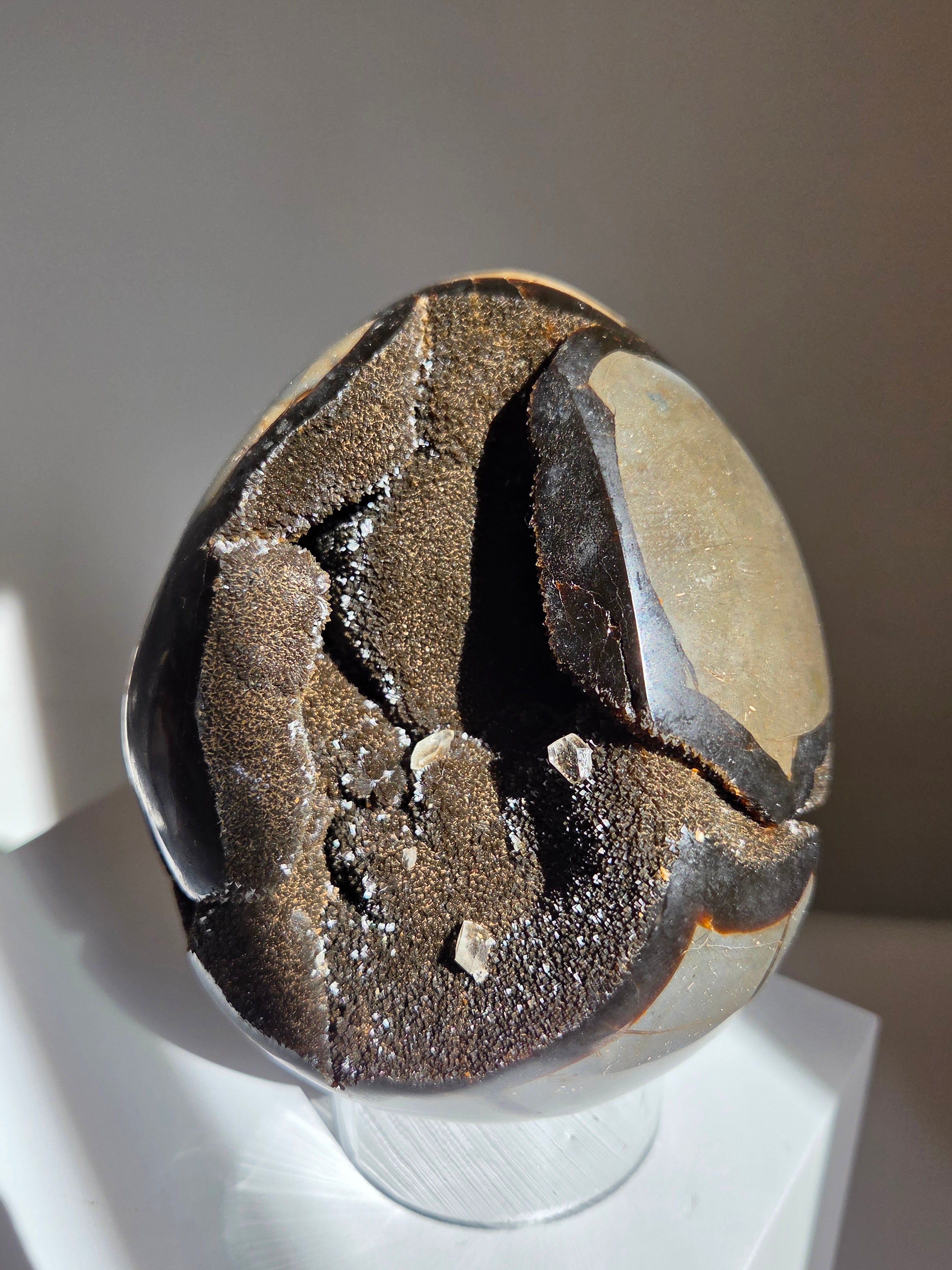 Septarian Egg 002